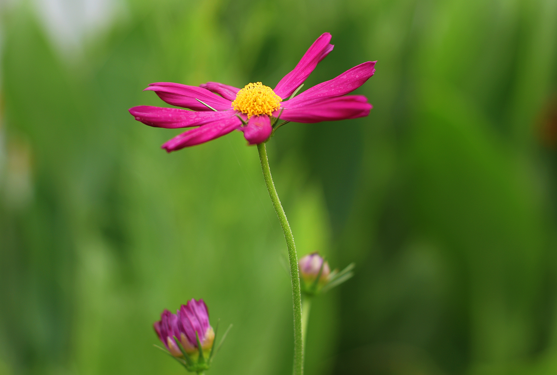 DSC_0609_.jpg