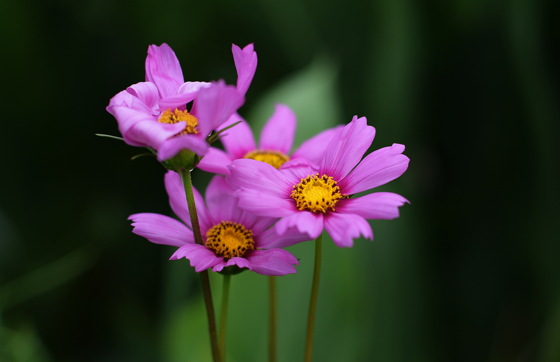DSC_0615_.jpg