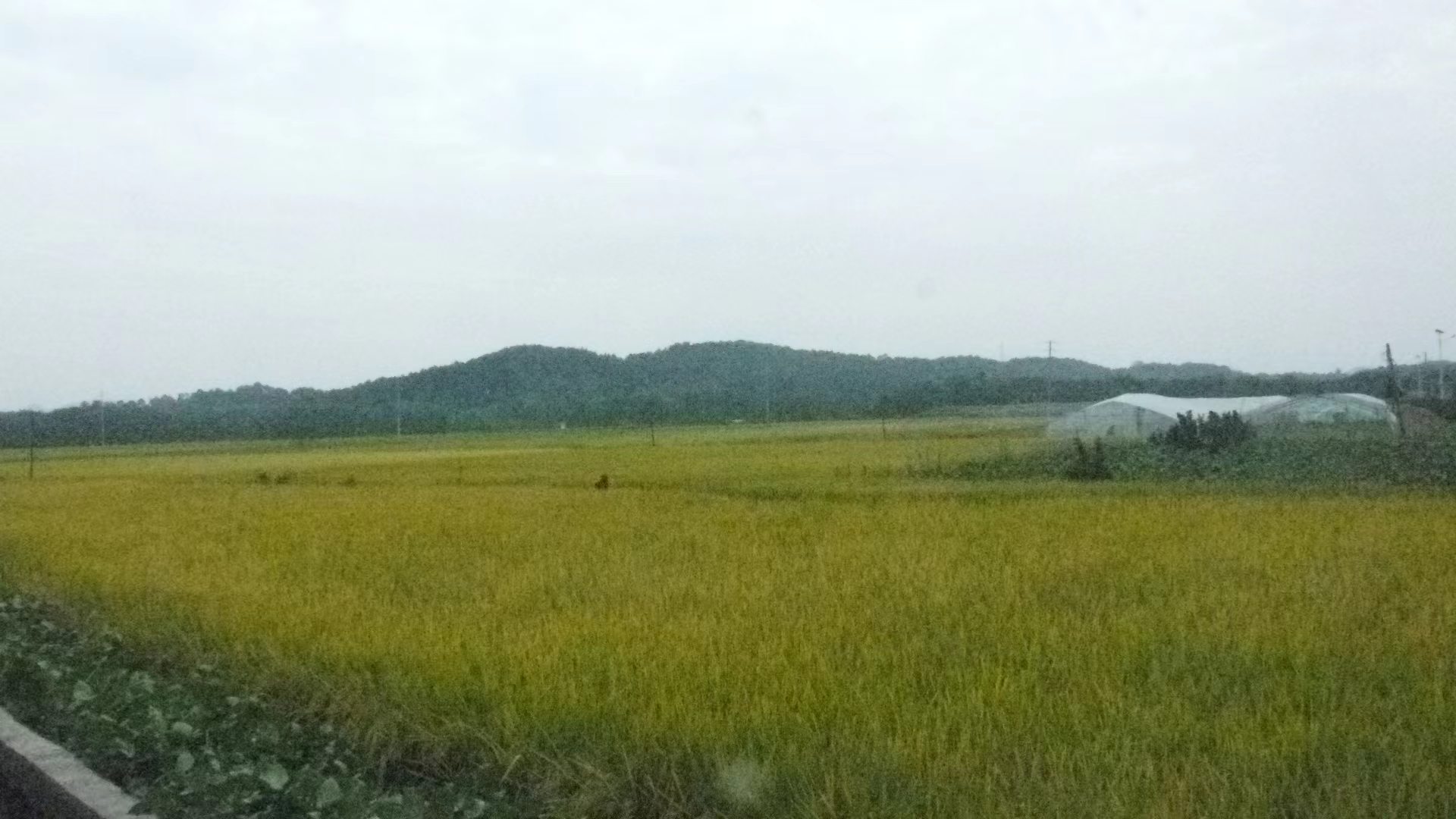 ΢ͼƬ_20240925202009.jpg