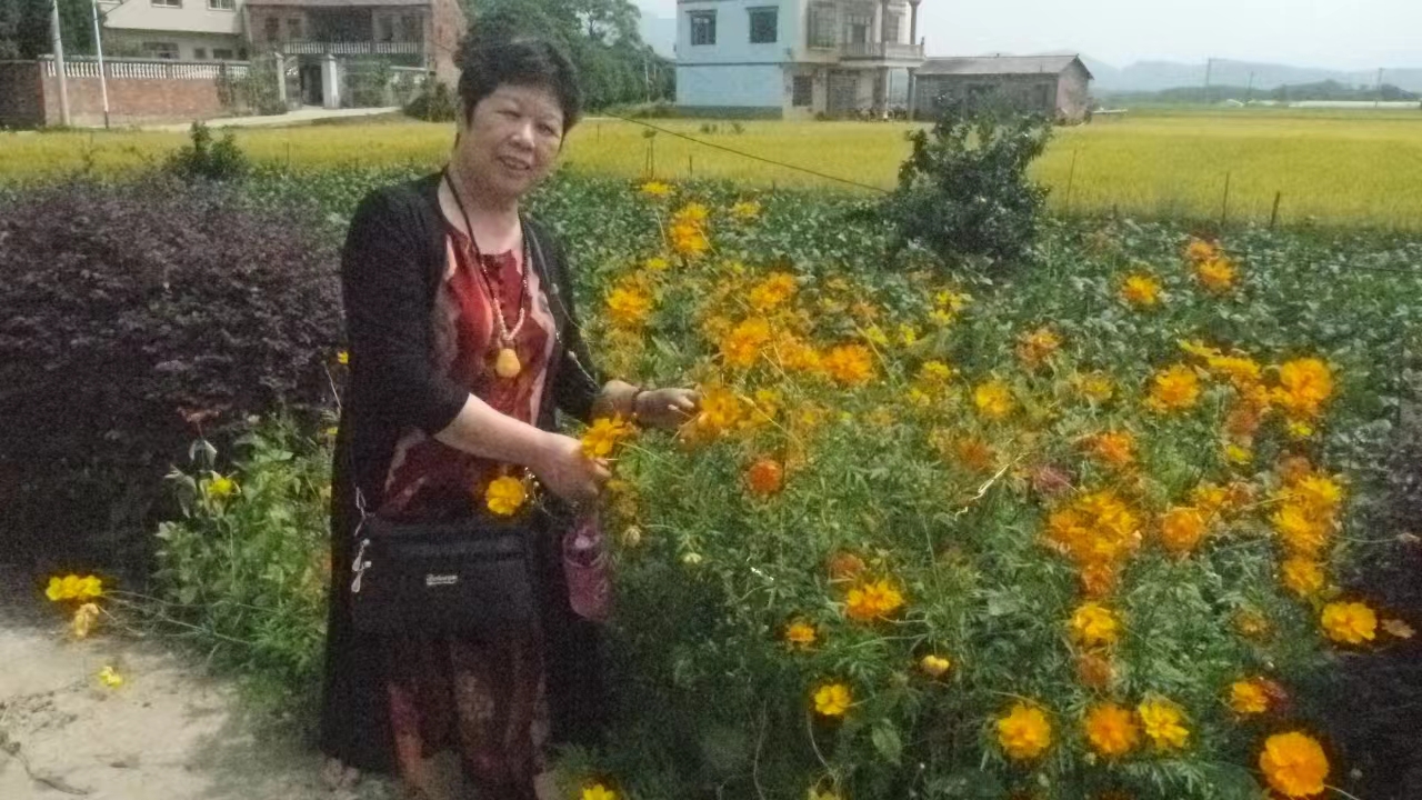 ΢ͼƬ_20240926160828.jpg