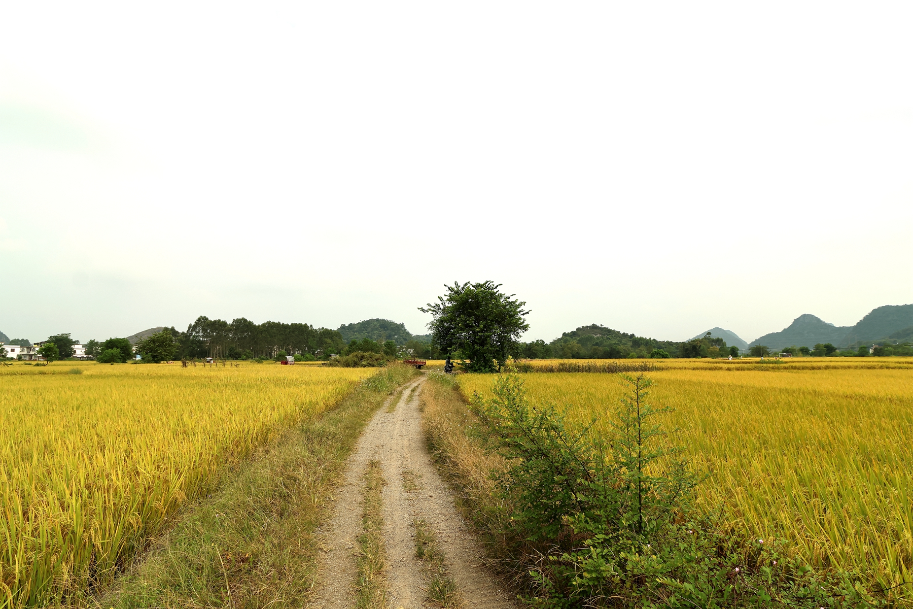5D2A5354_.jpg