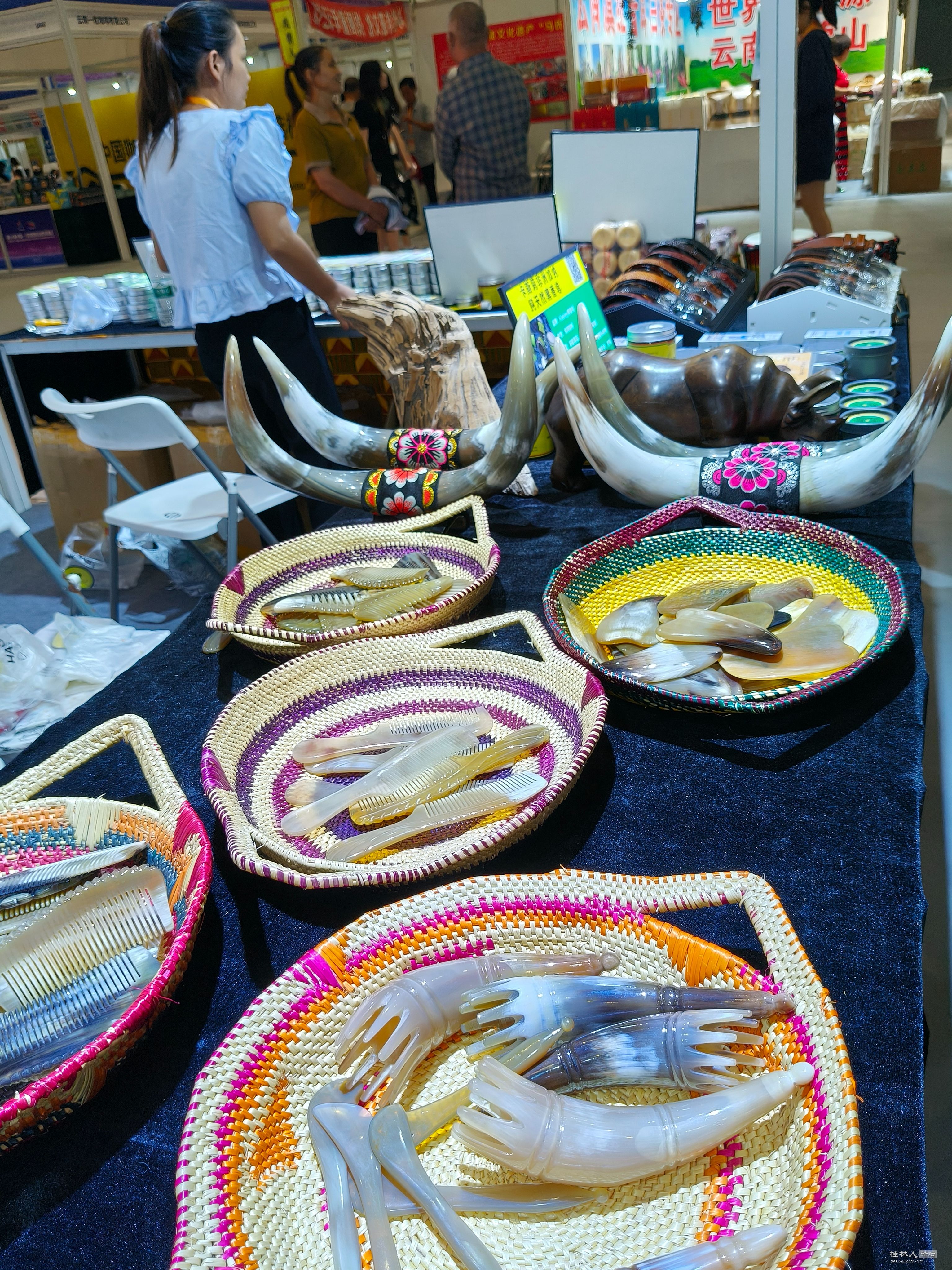 IMG20240926140514.jpg