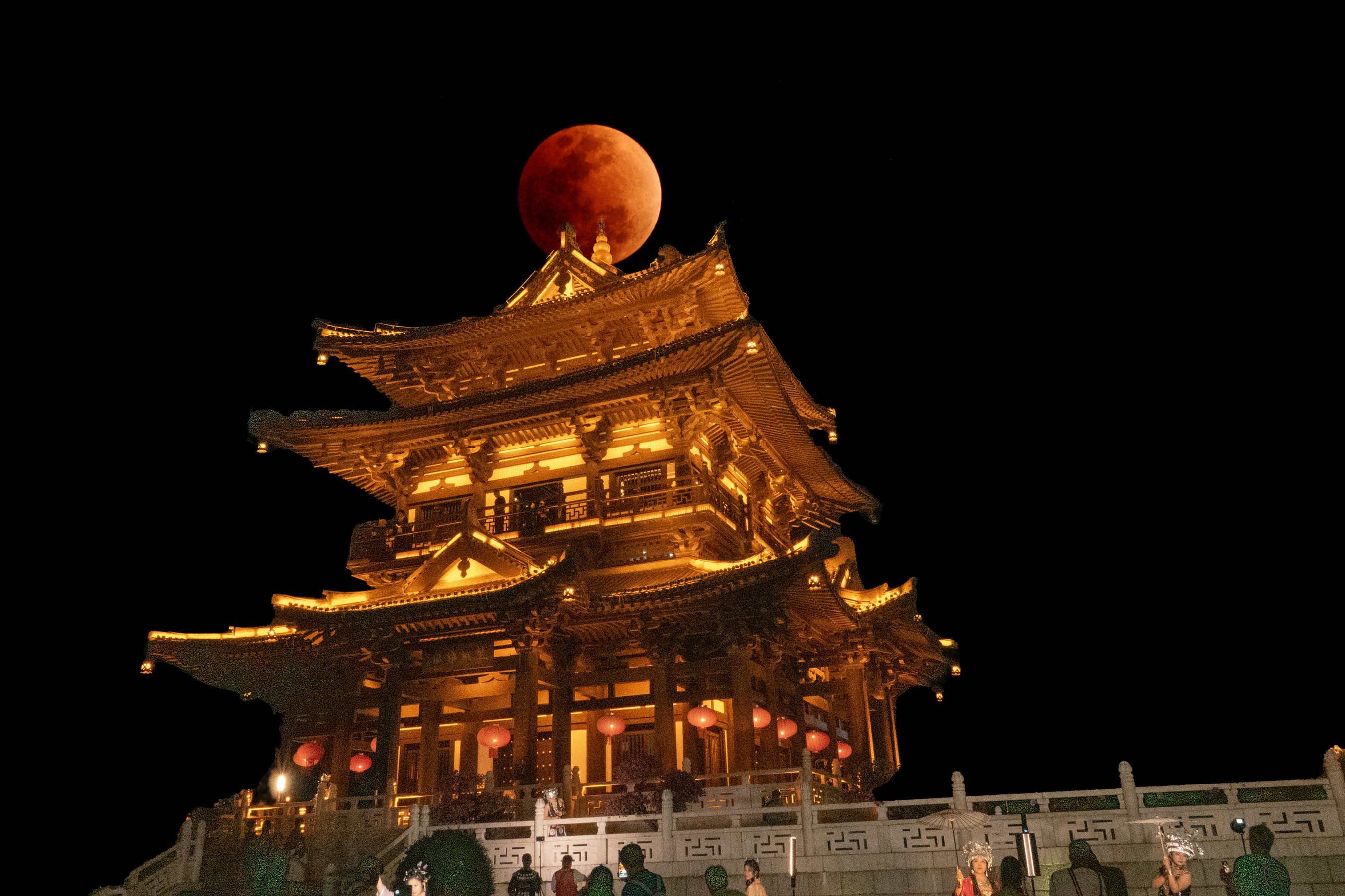 DSC00534-0hc.jpg