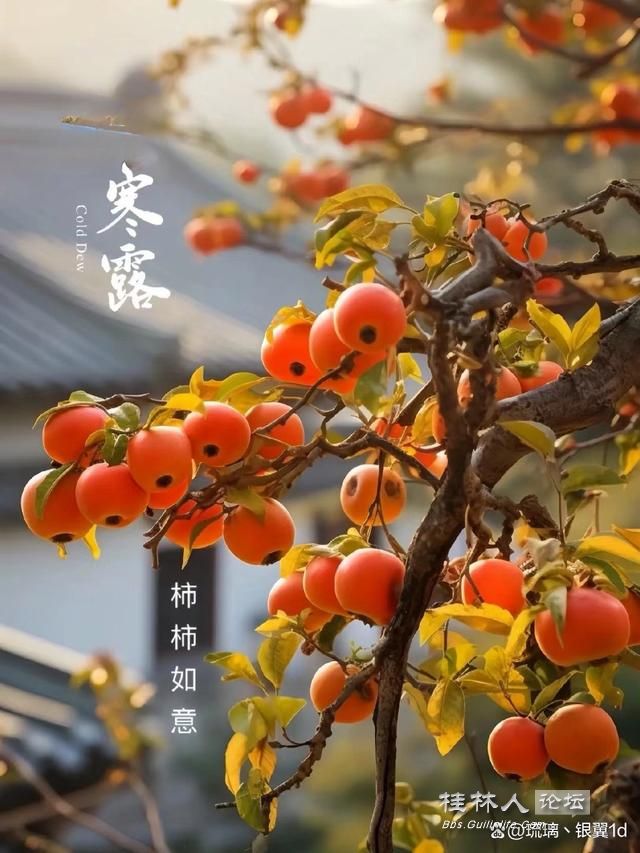 u=187201677,216747237&fm=30&app=106&f=JPEG.jpg