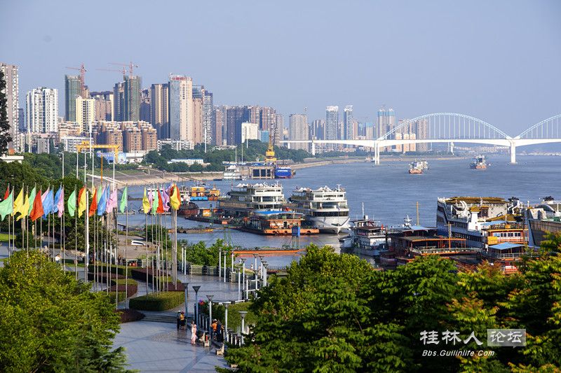 DSC04825_.jpg