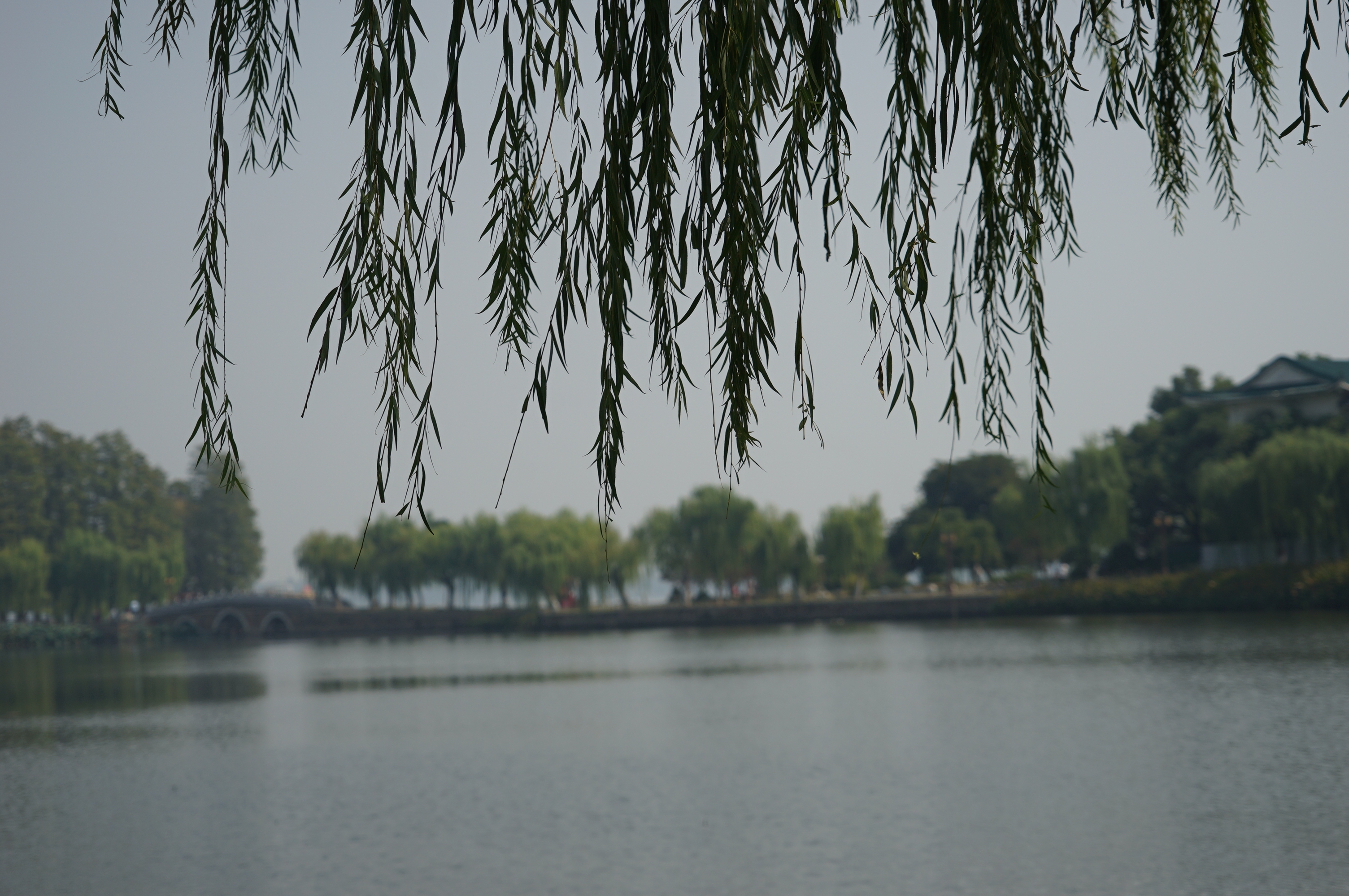 DSC06842.JPG