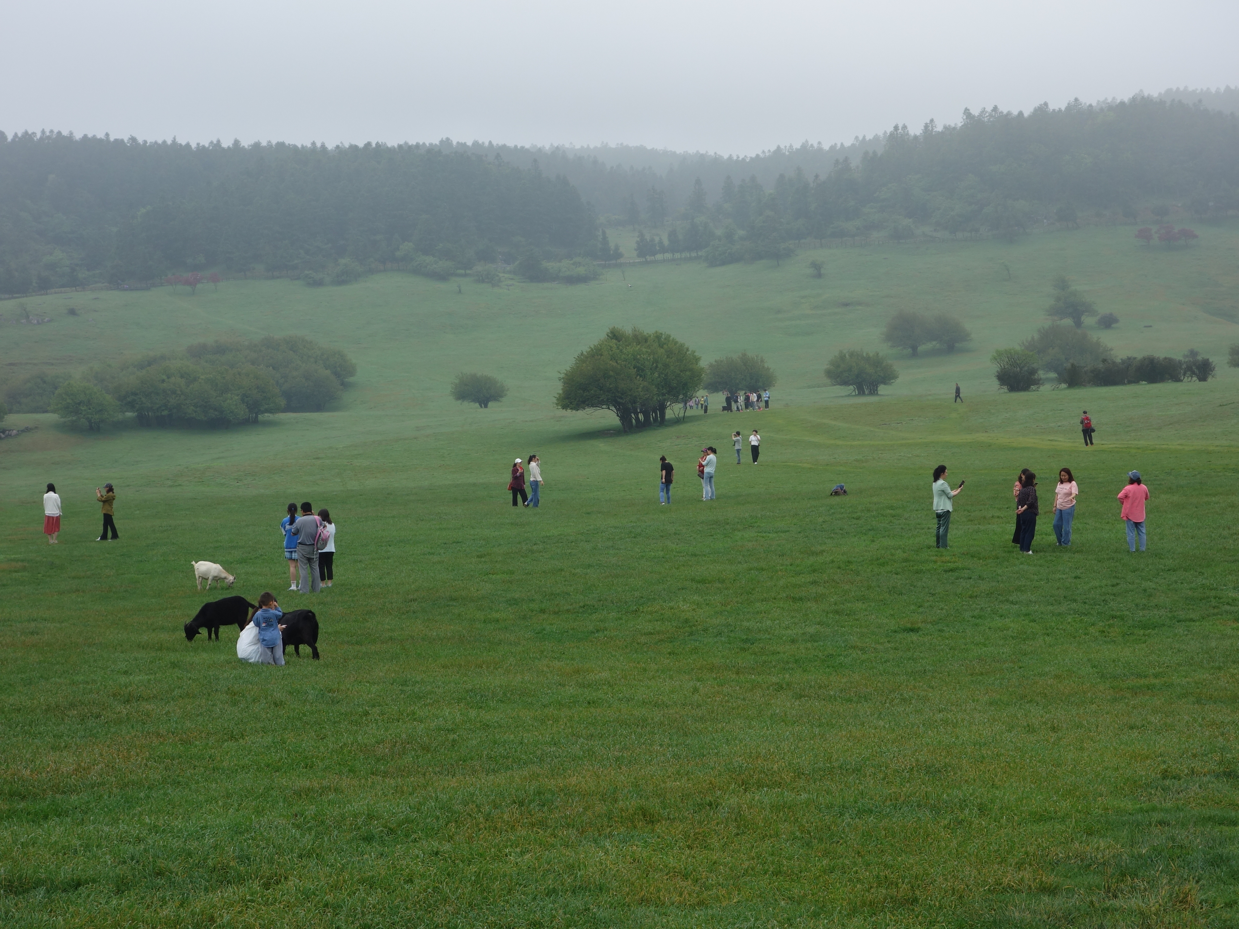 DSC03895.JPG