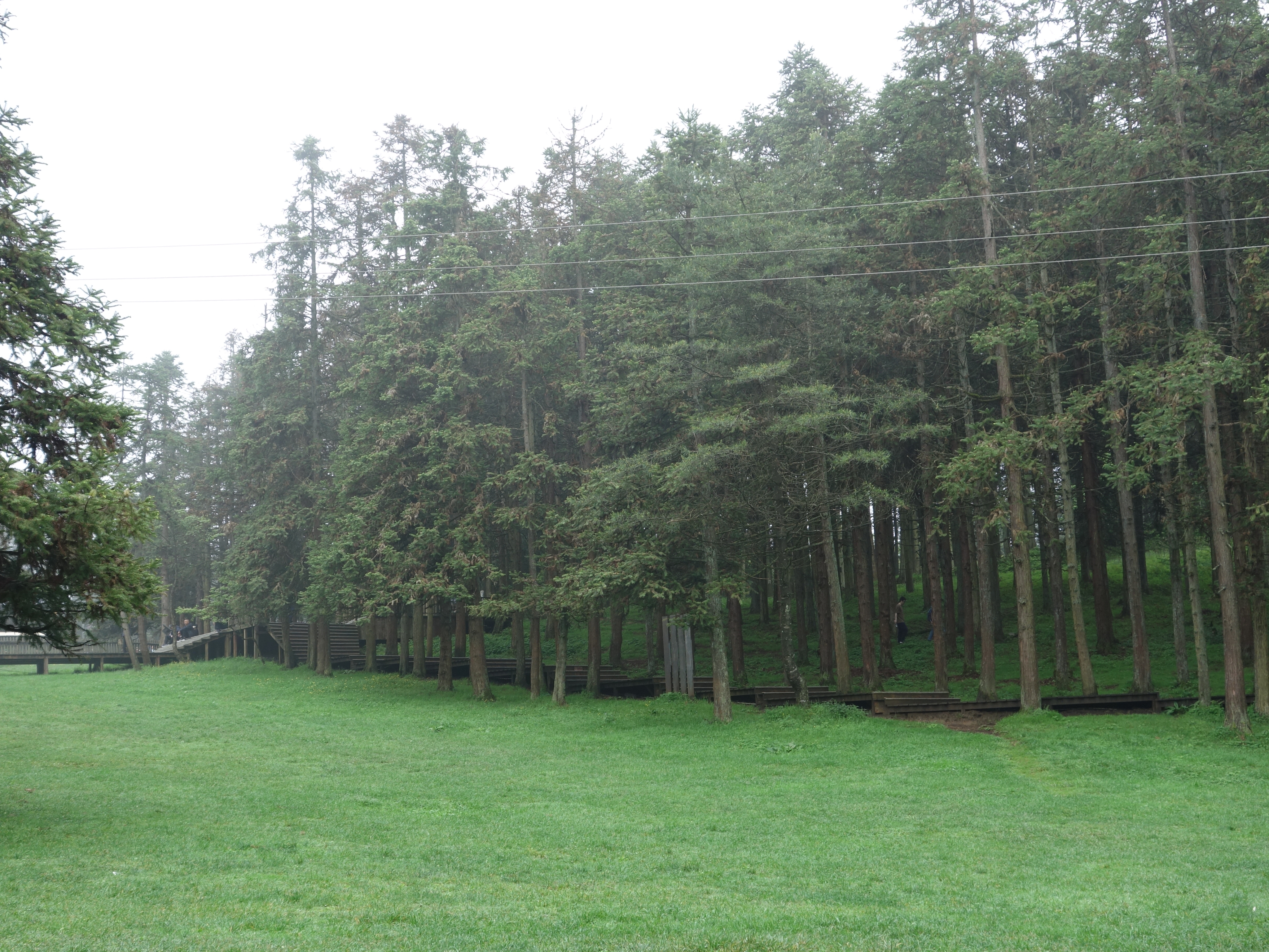 DSC03897.JPG