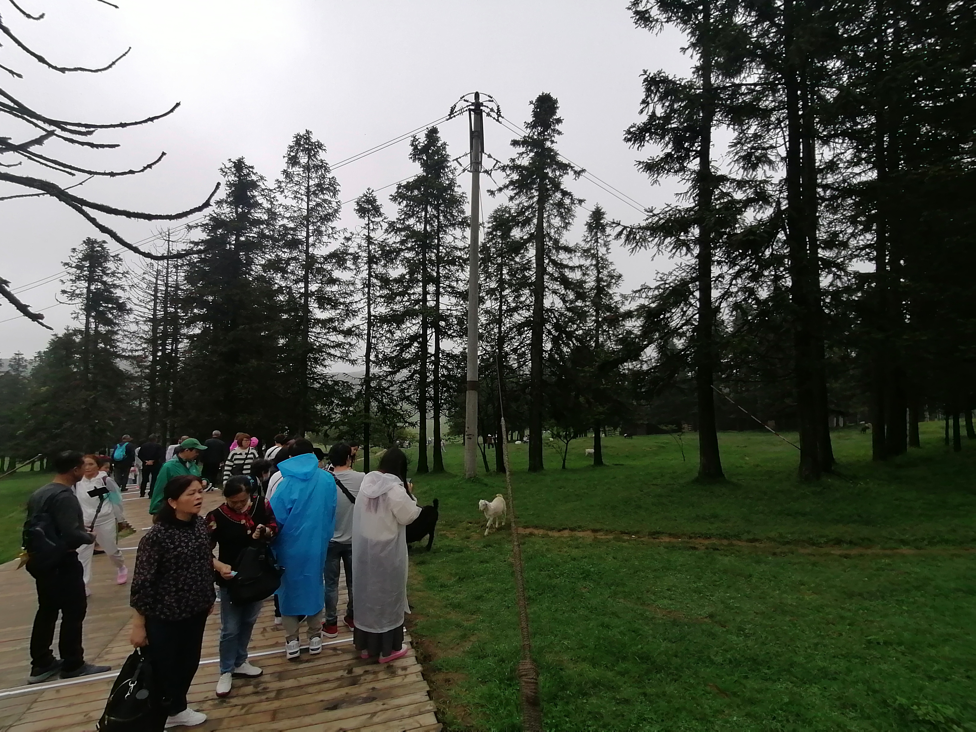 IMG_20230526_143639.jpg