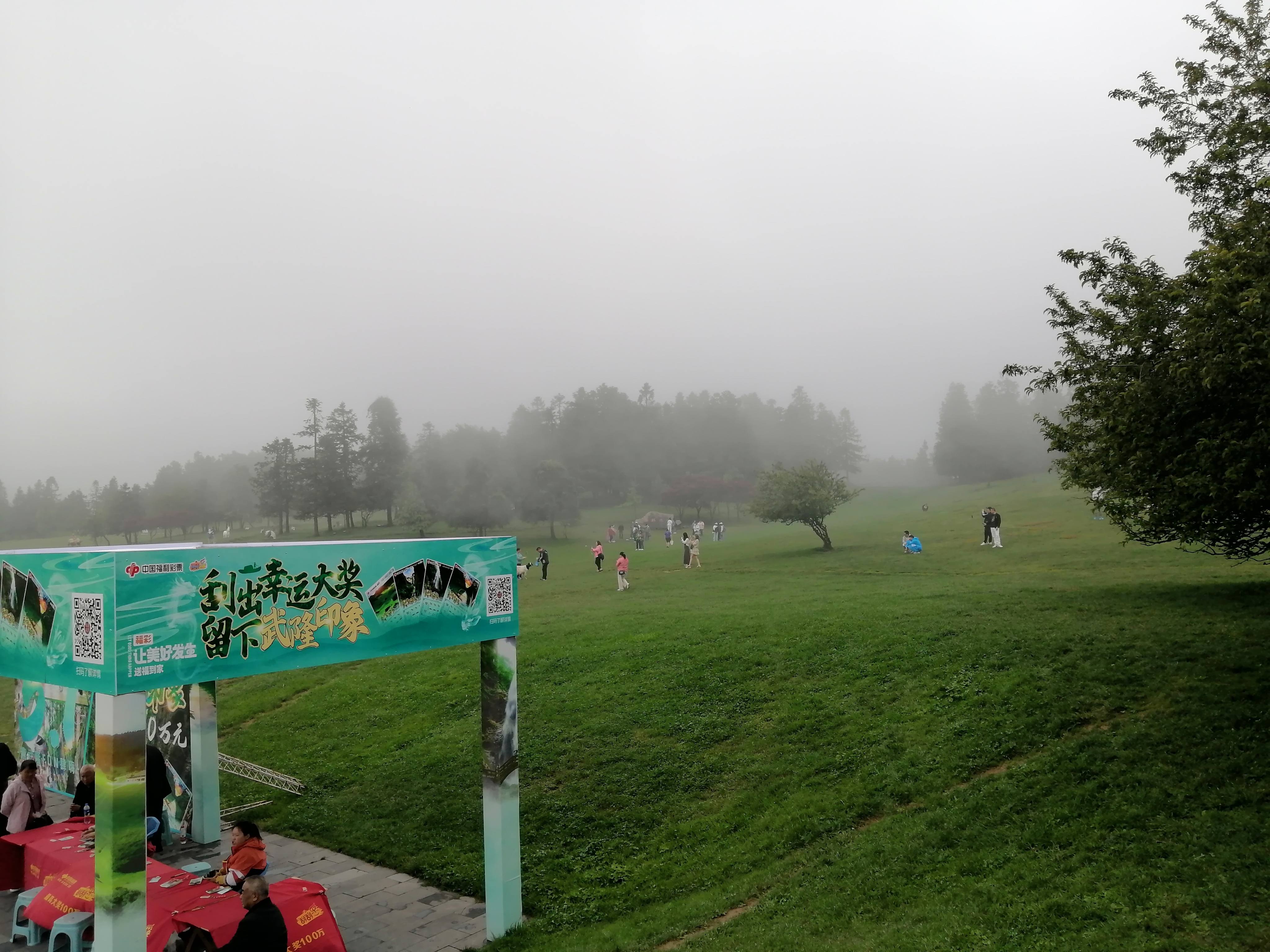 IMG_20230526_144831.jpg