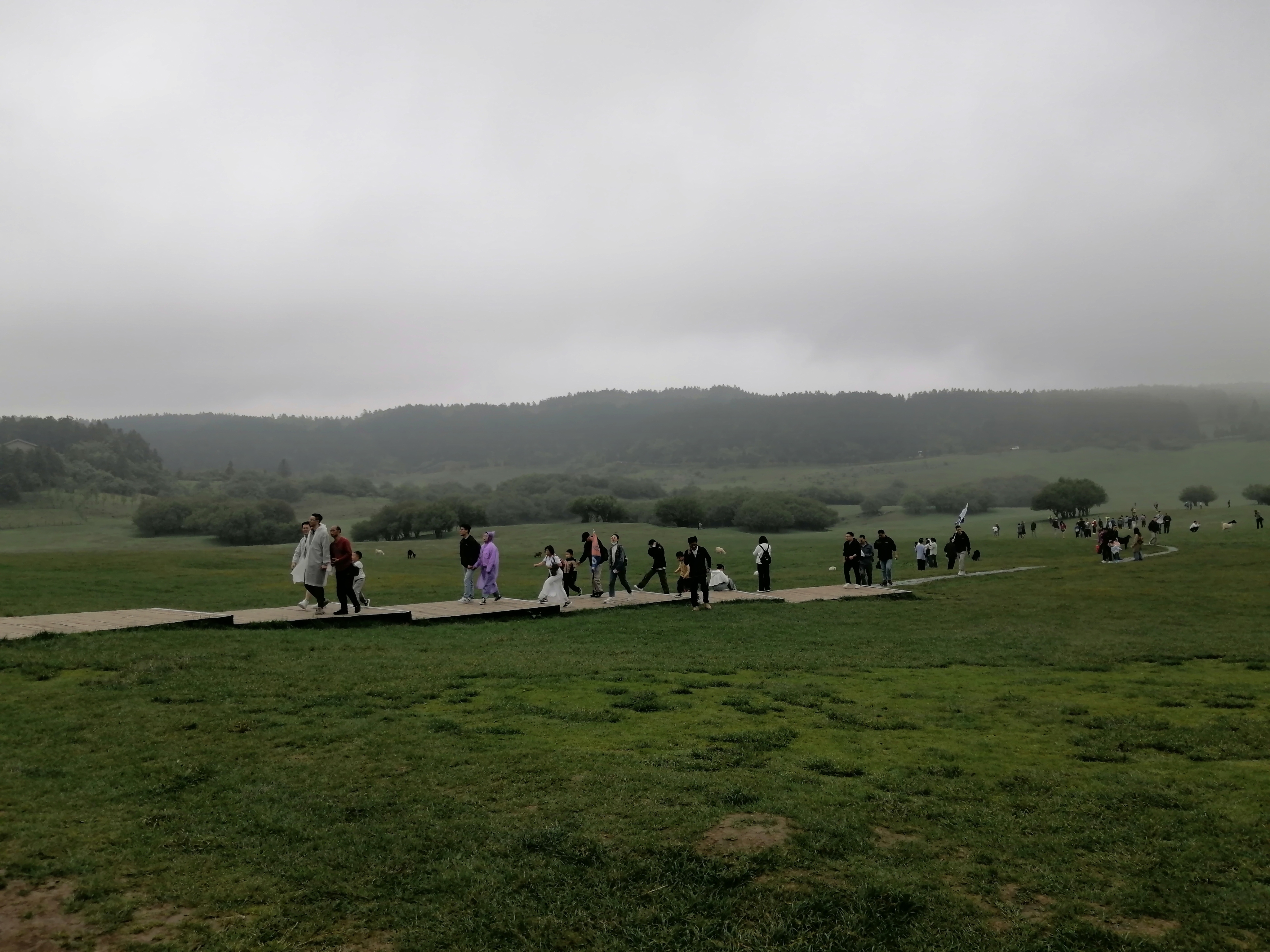 IMG_20230526_145302.jpg