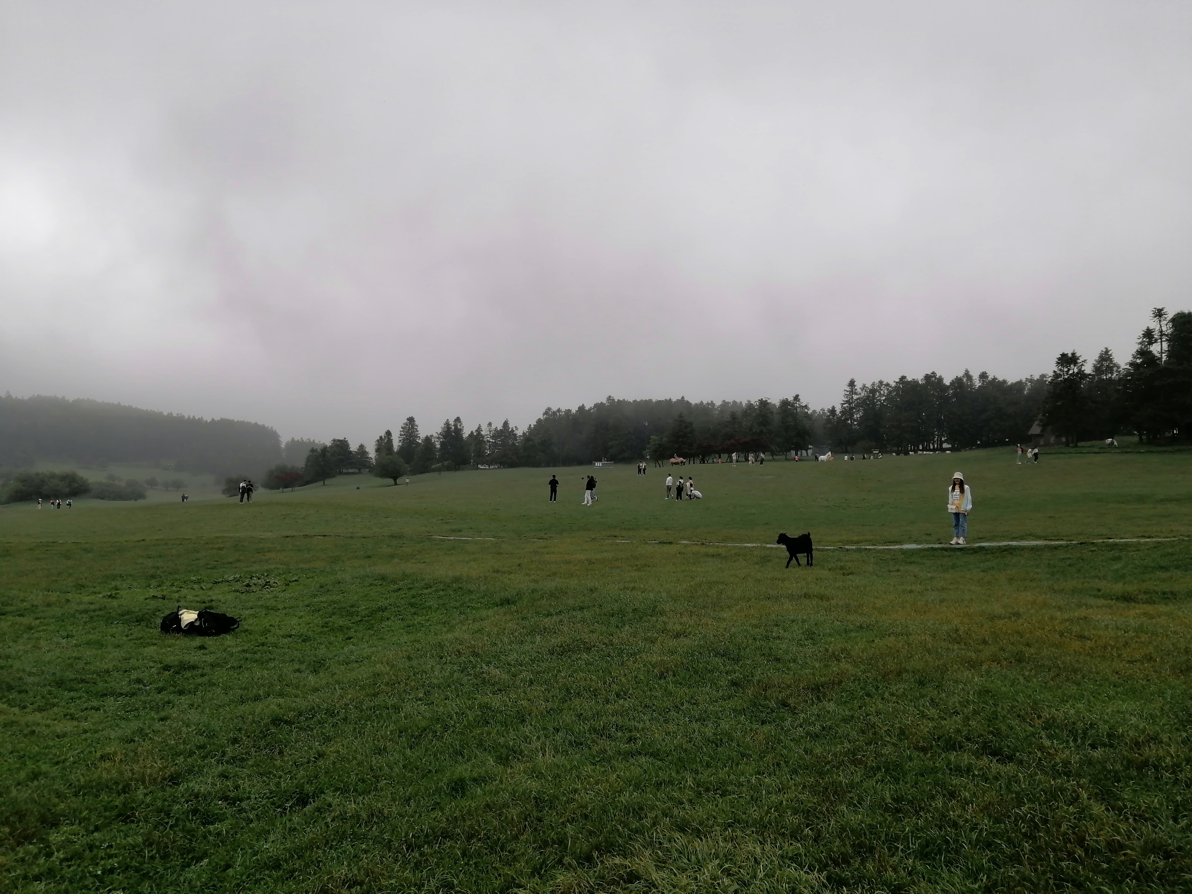 IMG_20230526_150119.jpg