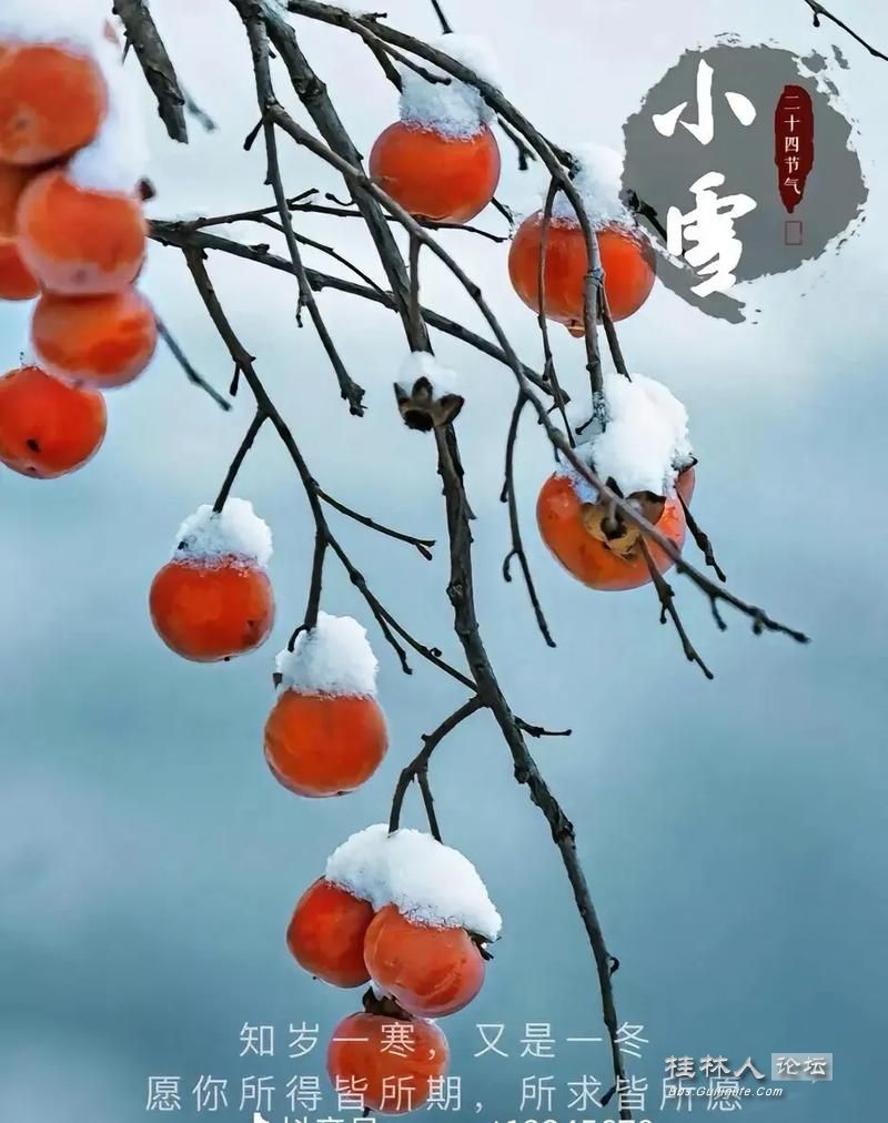 u=2432269568,1508886243&fm=253&app=138&f=JPEG.jpg
