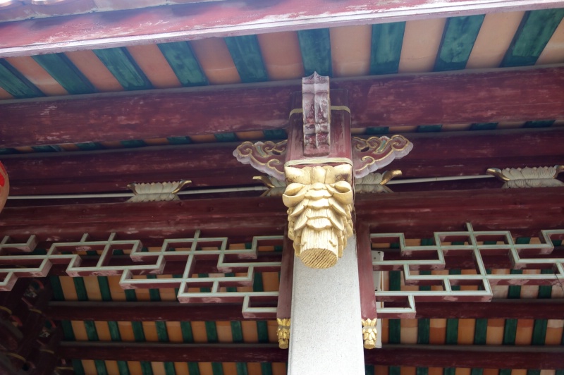DSC08444_dh.JPG