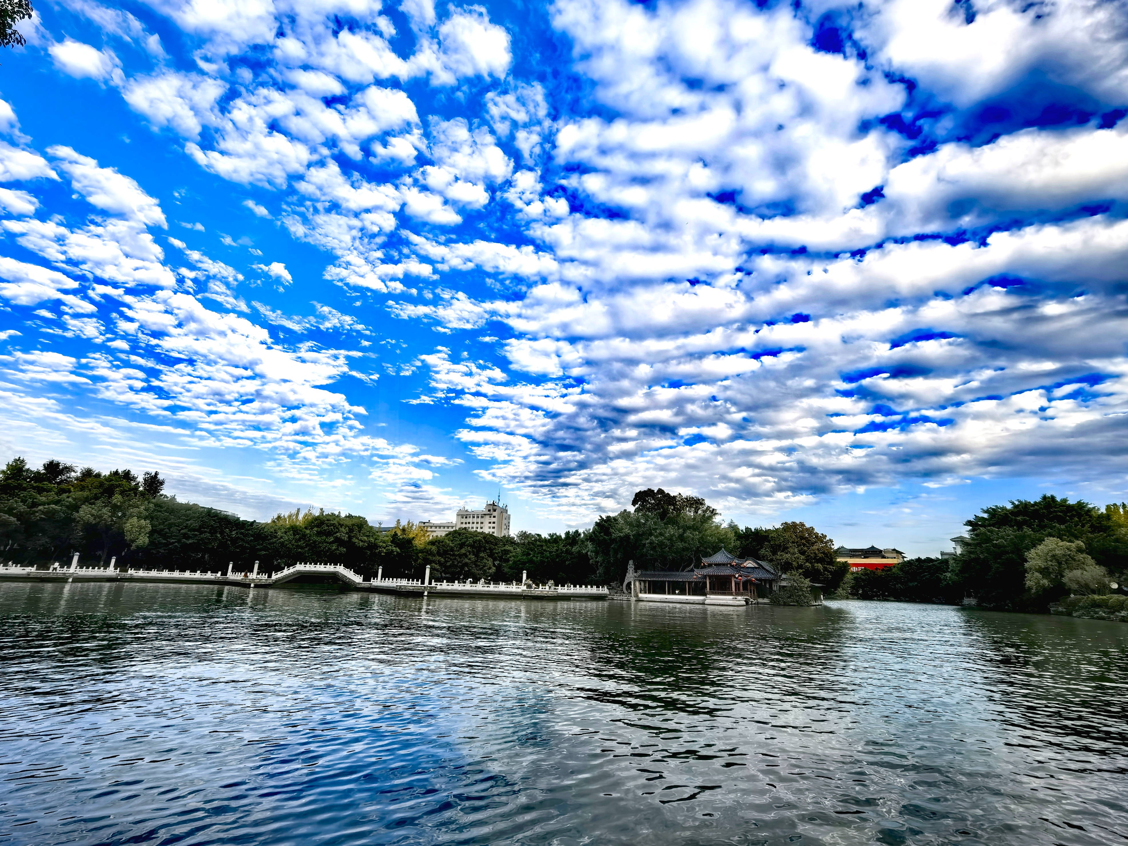 IMG_20241127_163700_edit_270359501141557.jpg