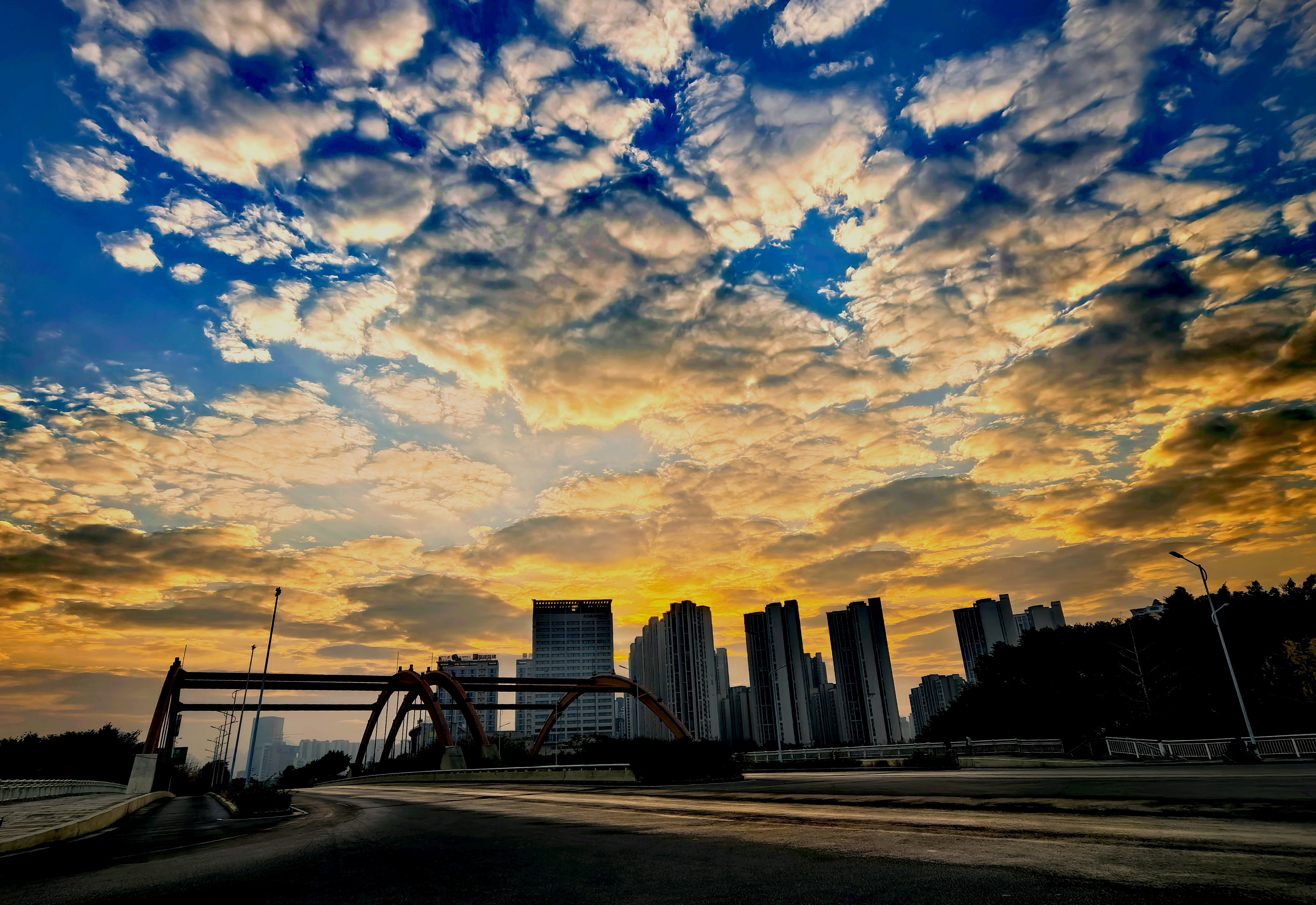 IMG_20241202_073656_edit_67479260850640.jpg