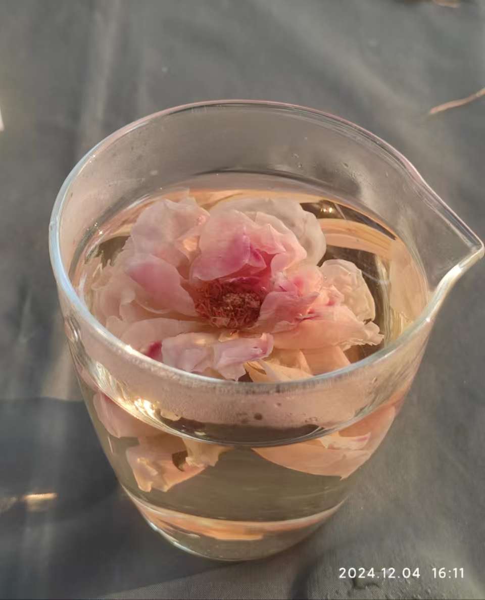 ΢ͼƬ_20241204201911.jpg
