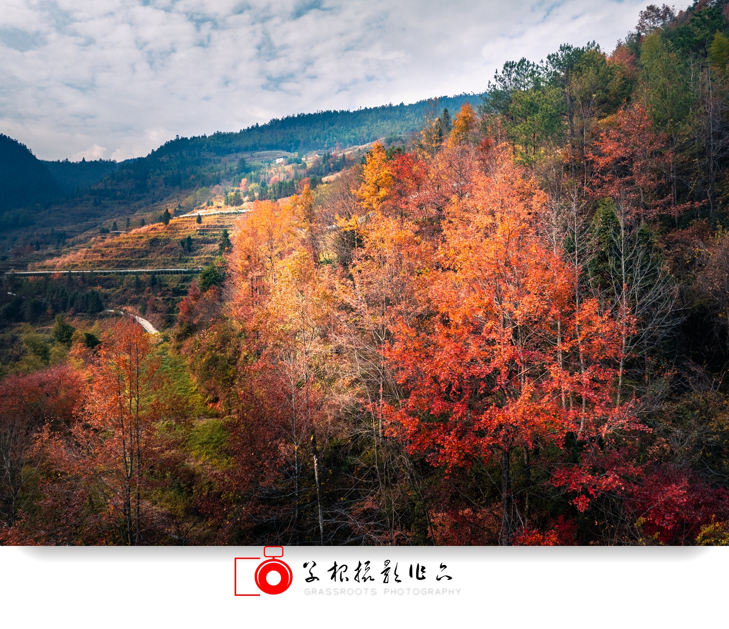 DJI_0677-HDR_.jpg