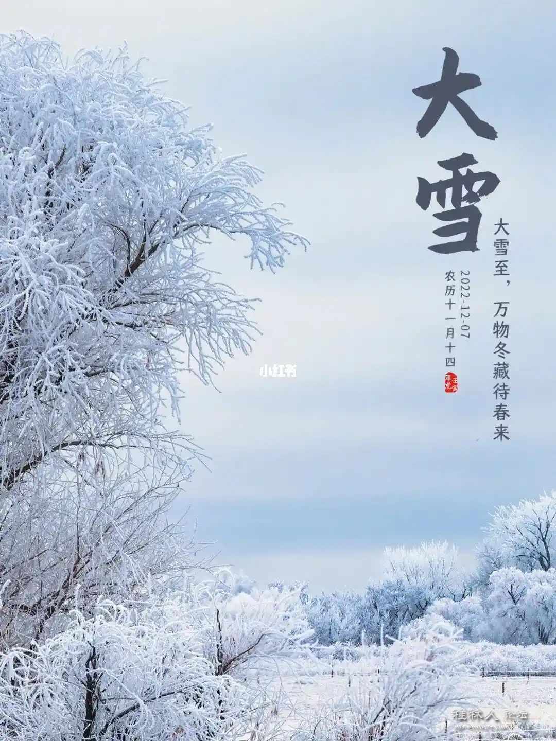src=http___ci.xiaohongshu.com_4a0ddf19-eb06-443c-3b84-fcd4b30e7579_imageView2_2_.jpg