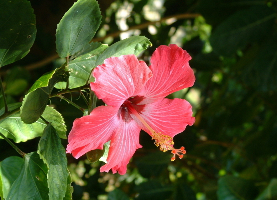 Image_183900763628188.png