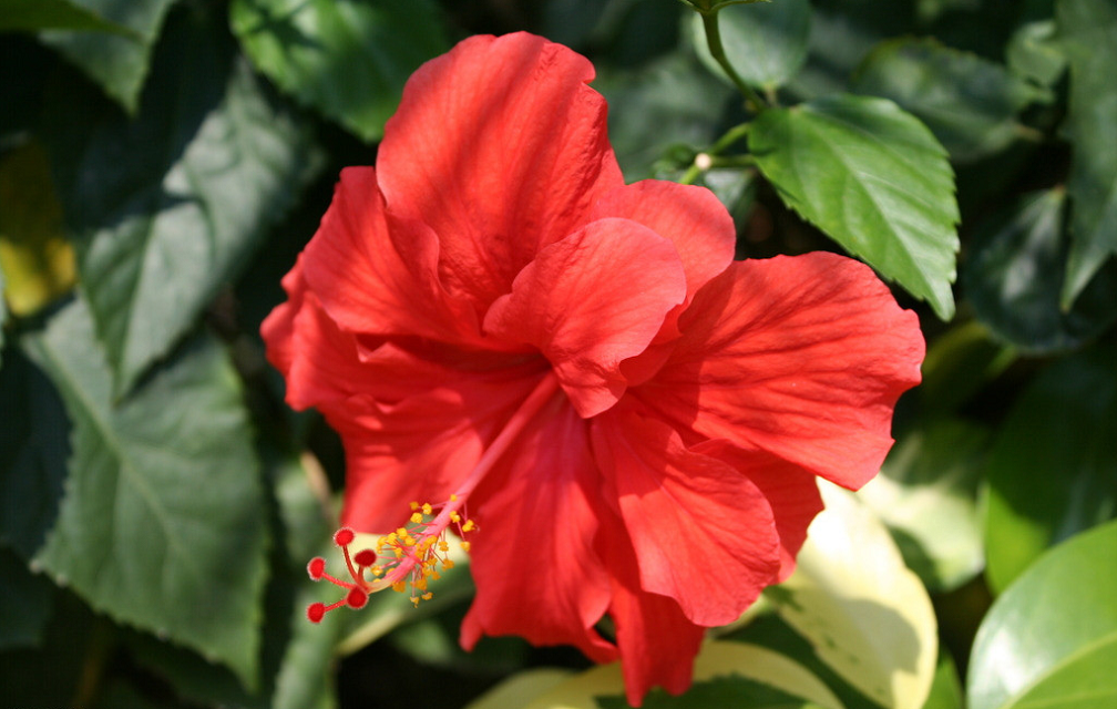 Image_183918018330790.png