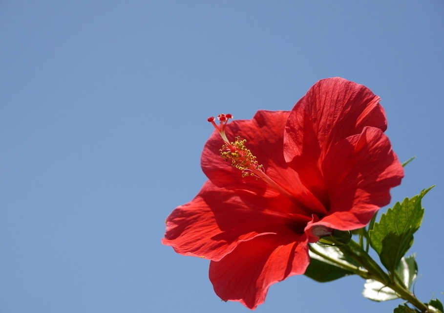 Image_183923059955268.png