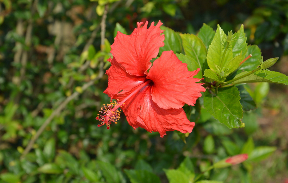 Image_183939012989640.png