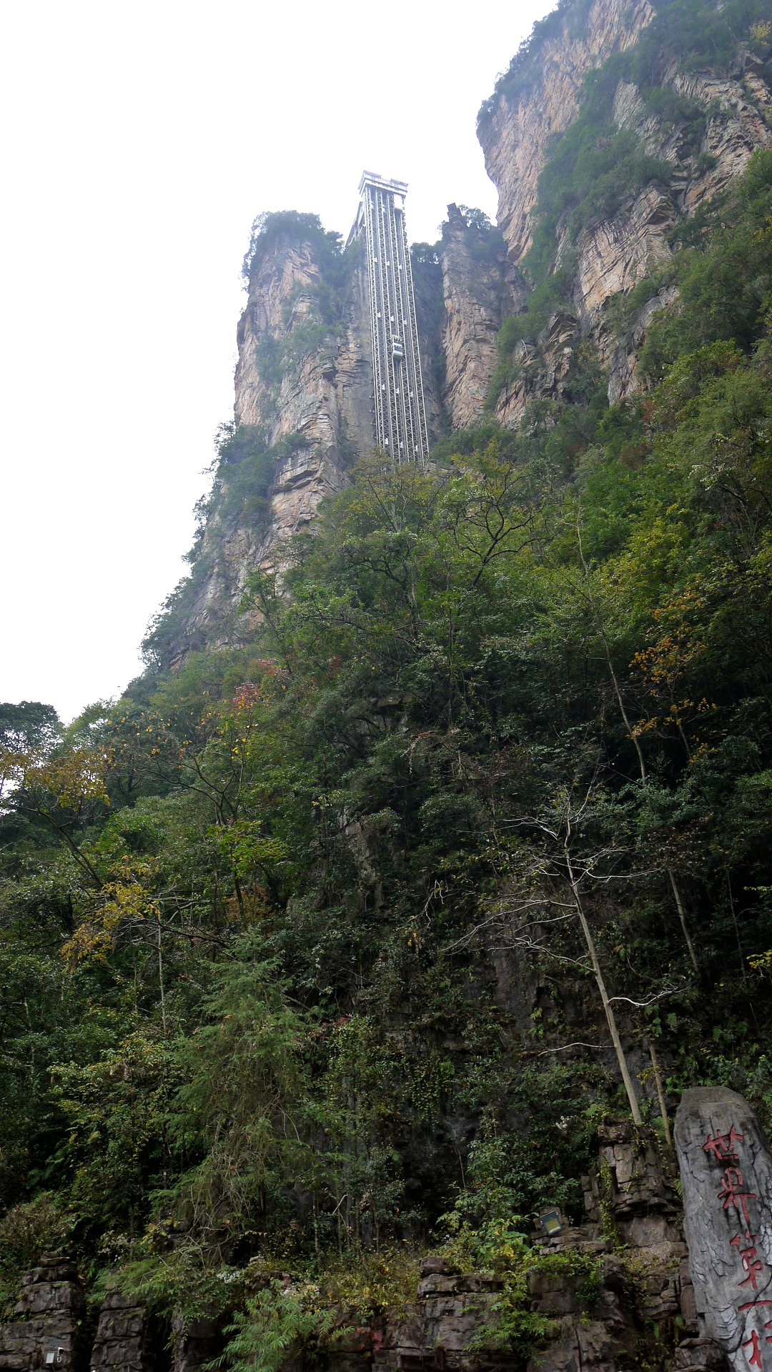 P1160808_.jpg