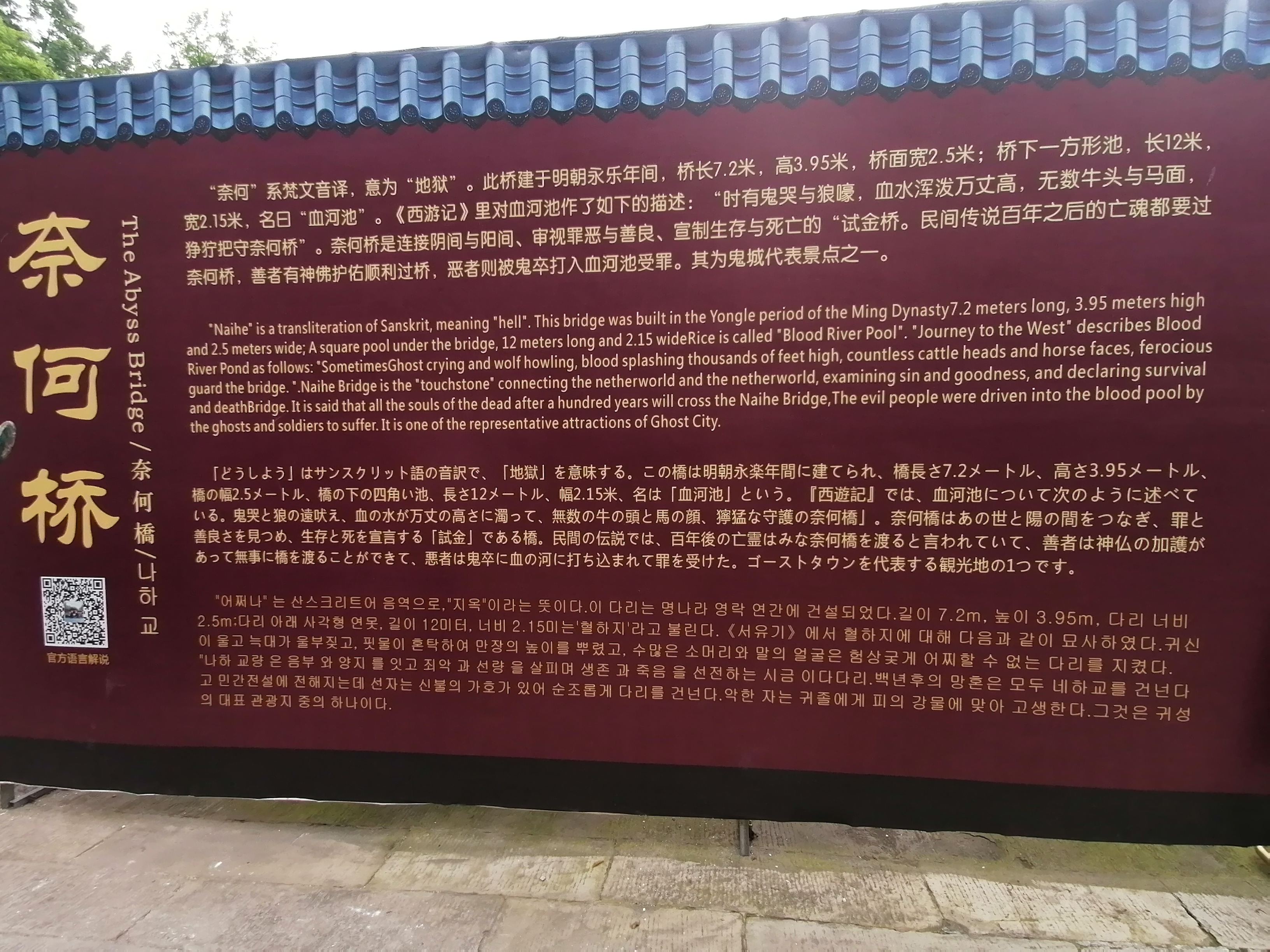 IMG_20230528_114352.jpg