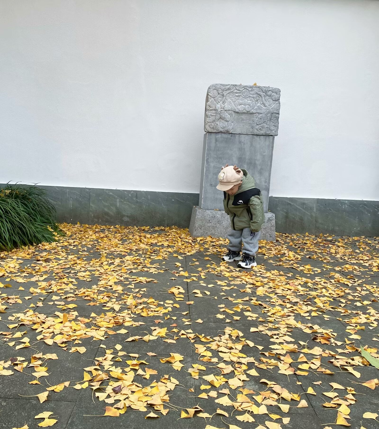 51.jpg