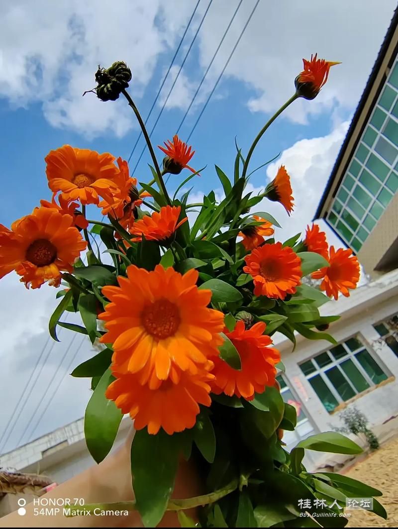 u=318911181,1864062288&fm=253&app=138&f=JPEG.jpg
