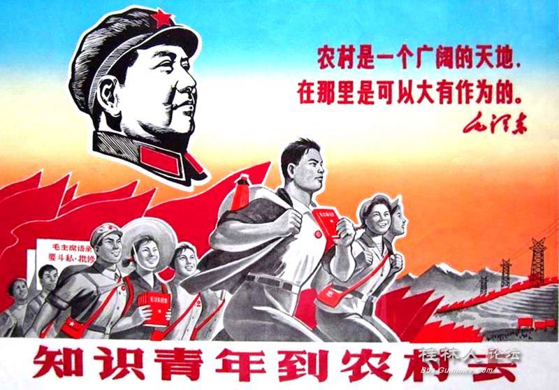 161052ubaibznjoavcf1bf.jpg