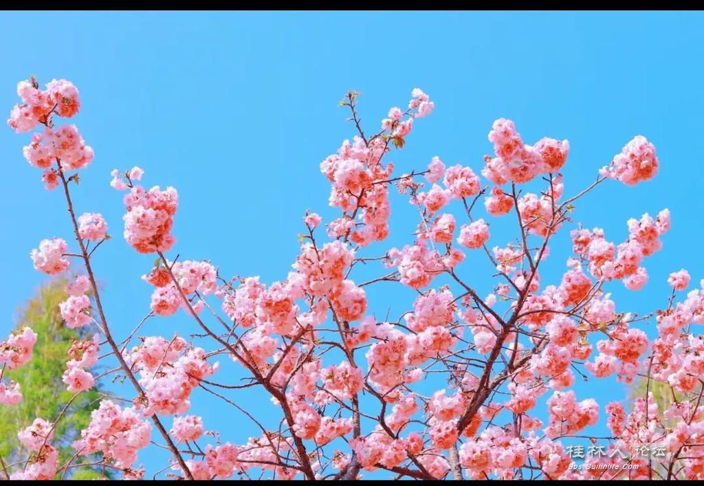 u=3780795687,4131054398&fm=253&app=138&f=JPEG.jpg