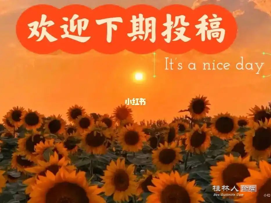 src=http___ci.xiaohongshu.com_6fa56644-c463-2d5d-e519-215f8c36f9f8_imageView2_2_.jpg