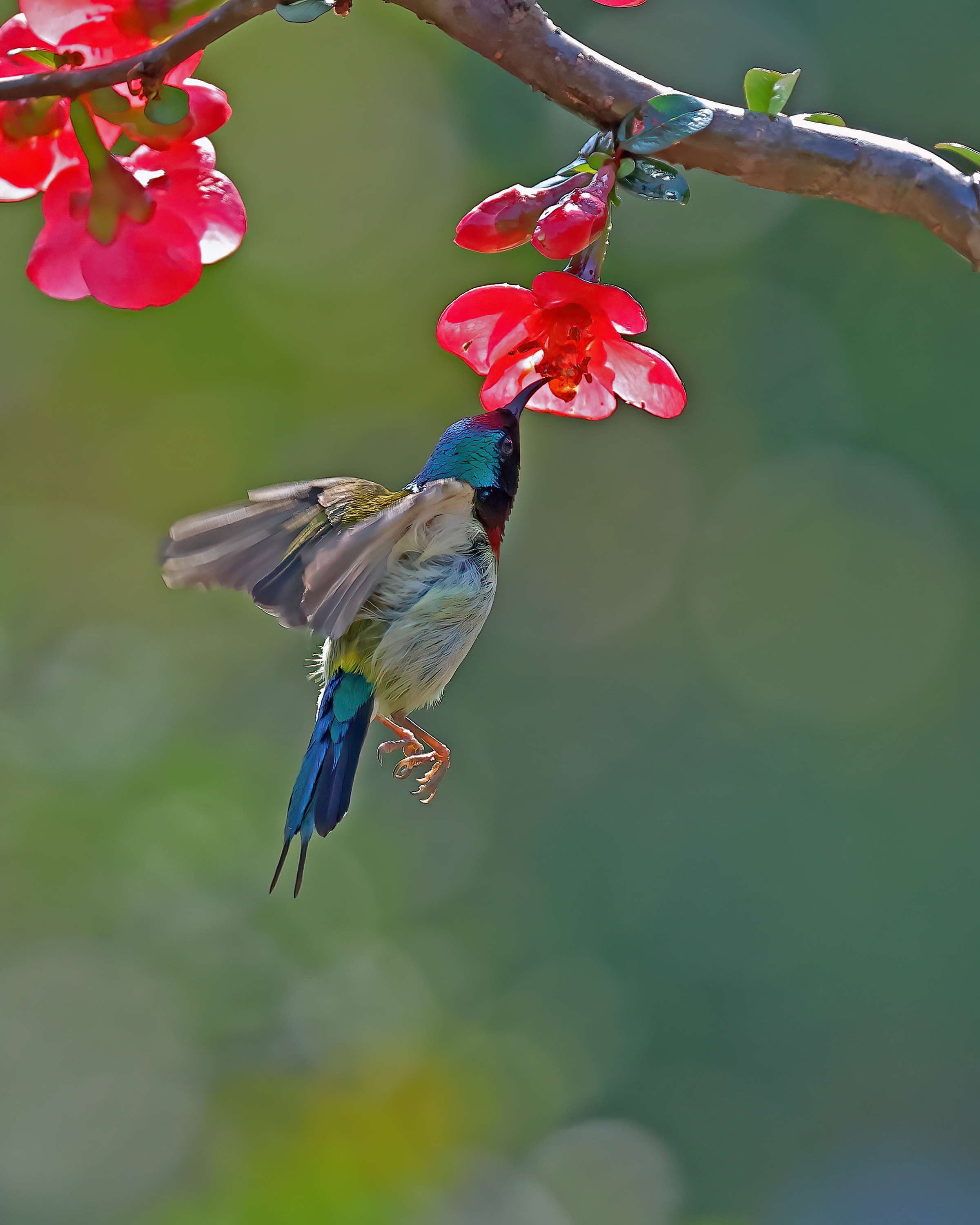 5D2A7434_-DeNoiseAI-clear.jpg