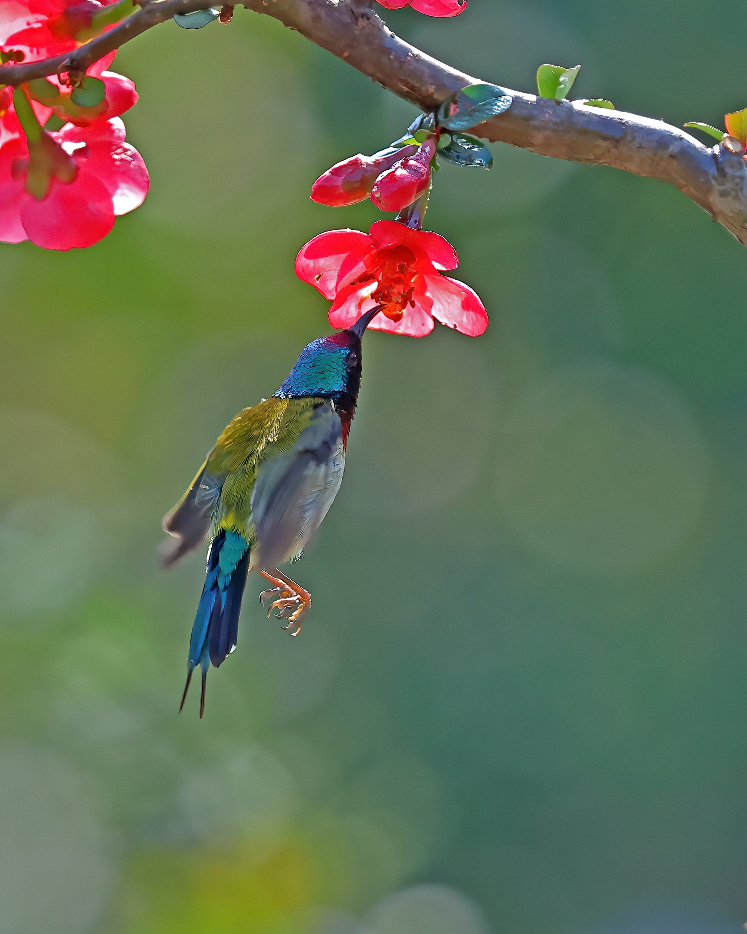5D2A7435_-DeNoiseAI-clear.jpg