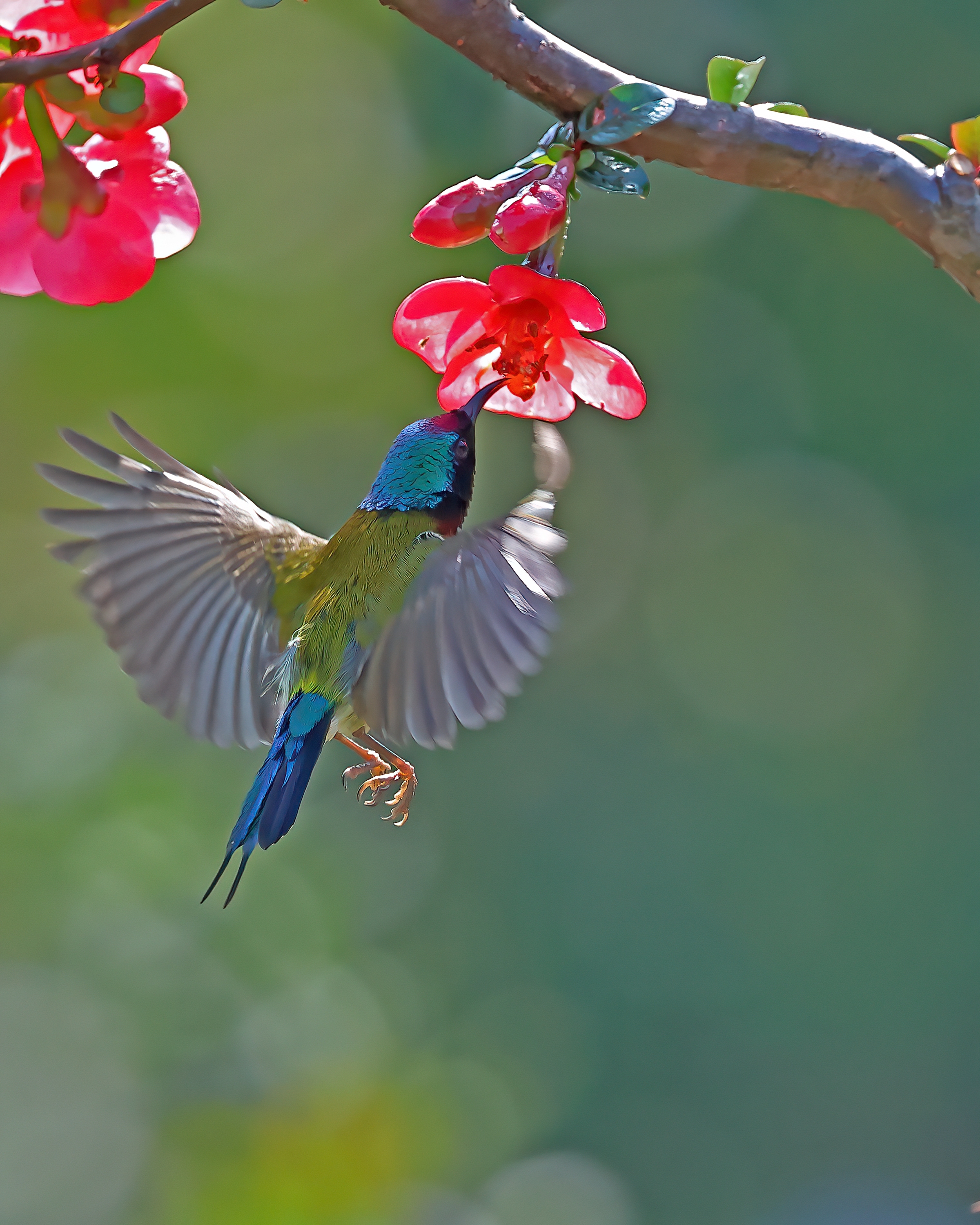 5D2A7437_-DeNoiseAI-clear.jpg