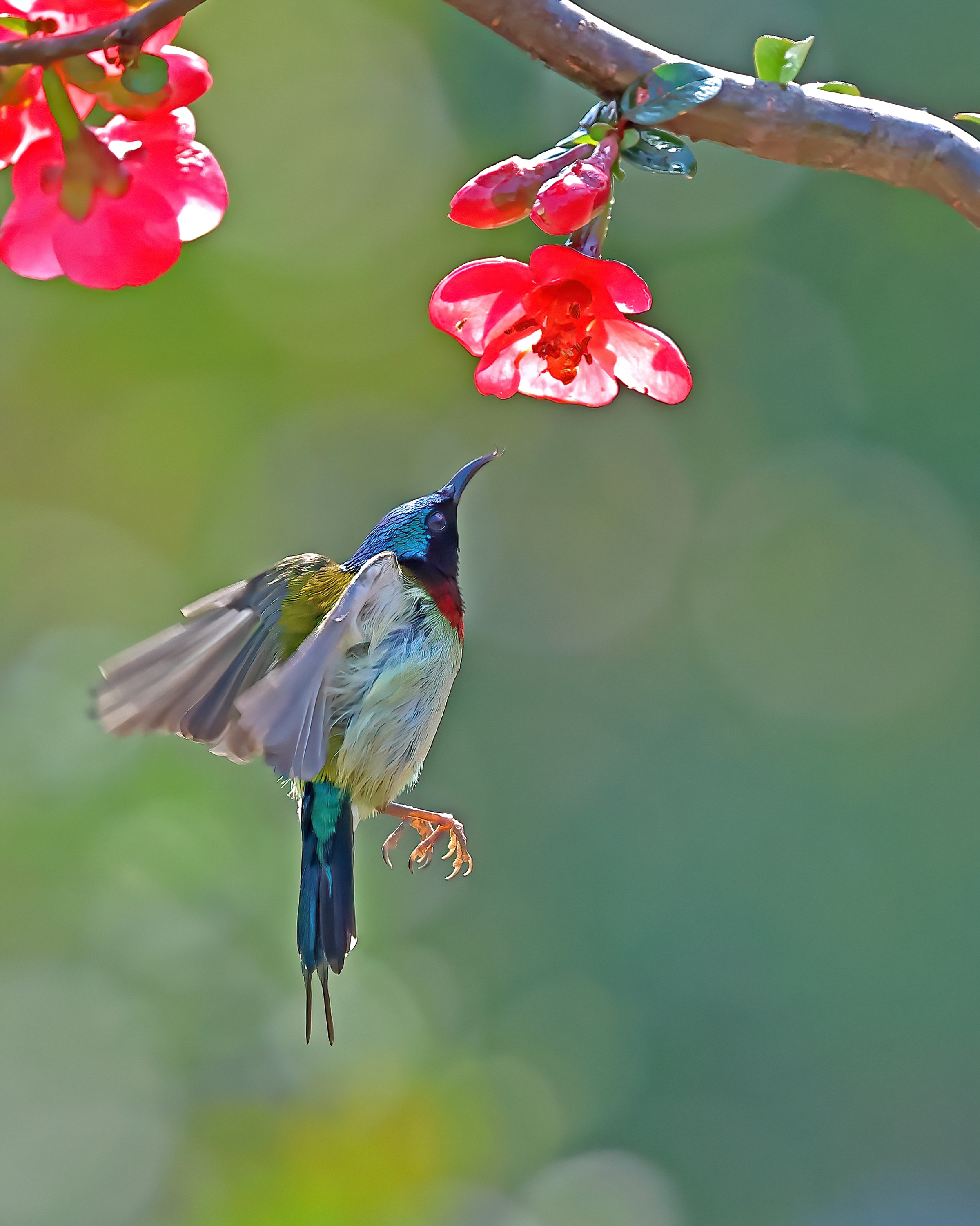 5D2A7438_-DeNoiseAI-clear.jpg