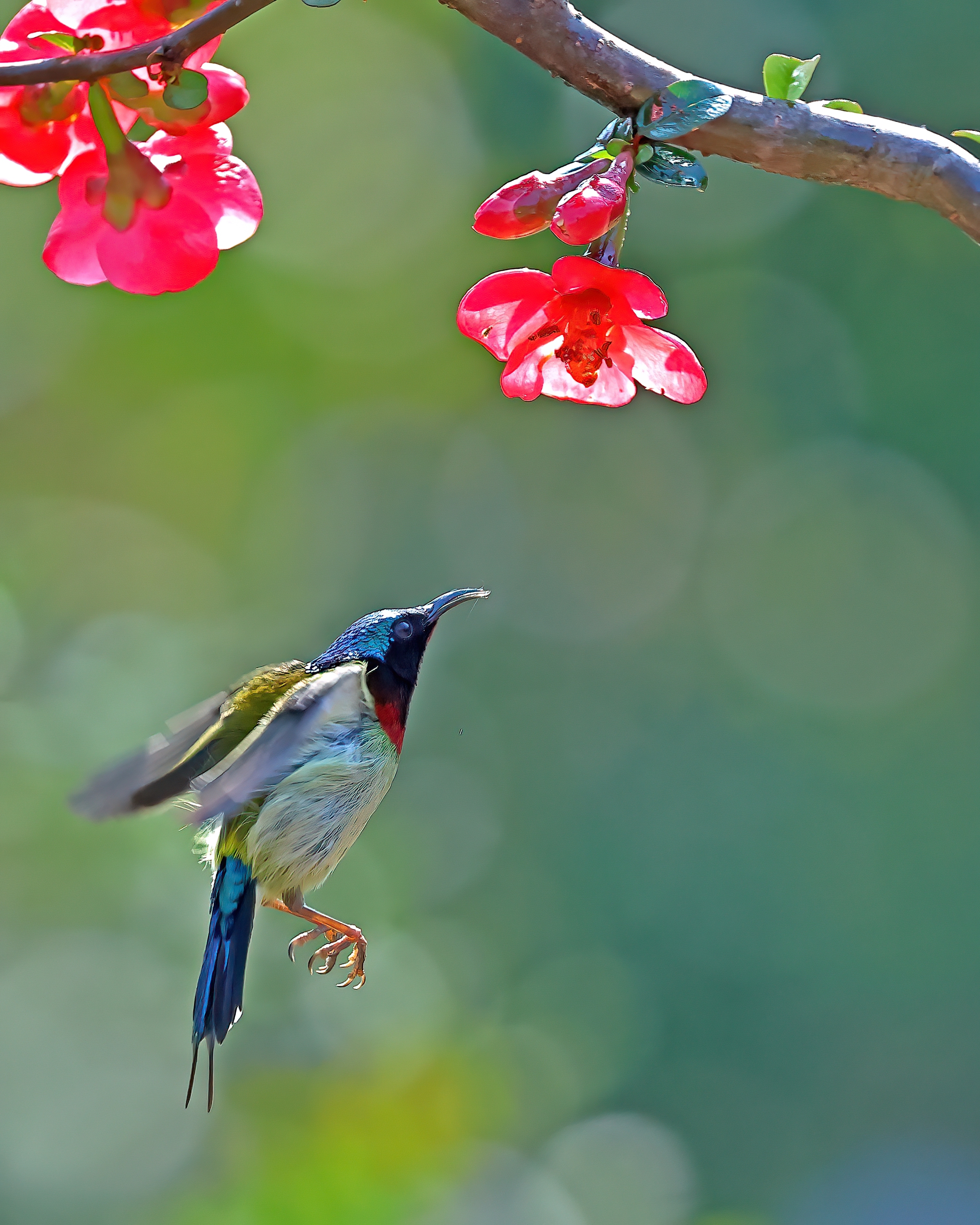 5D2A7439_-DeNoiseAI-clear.jpg