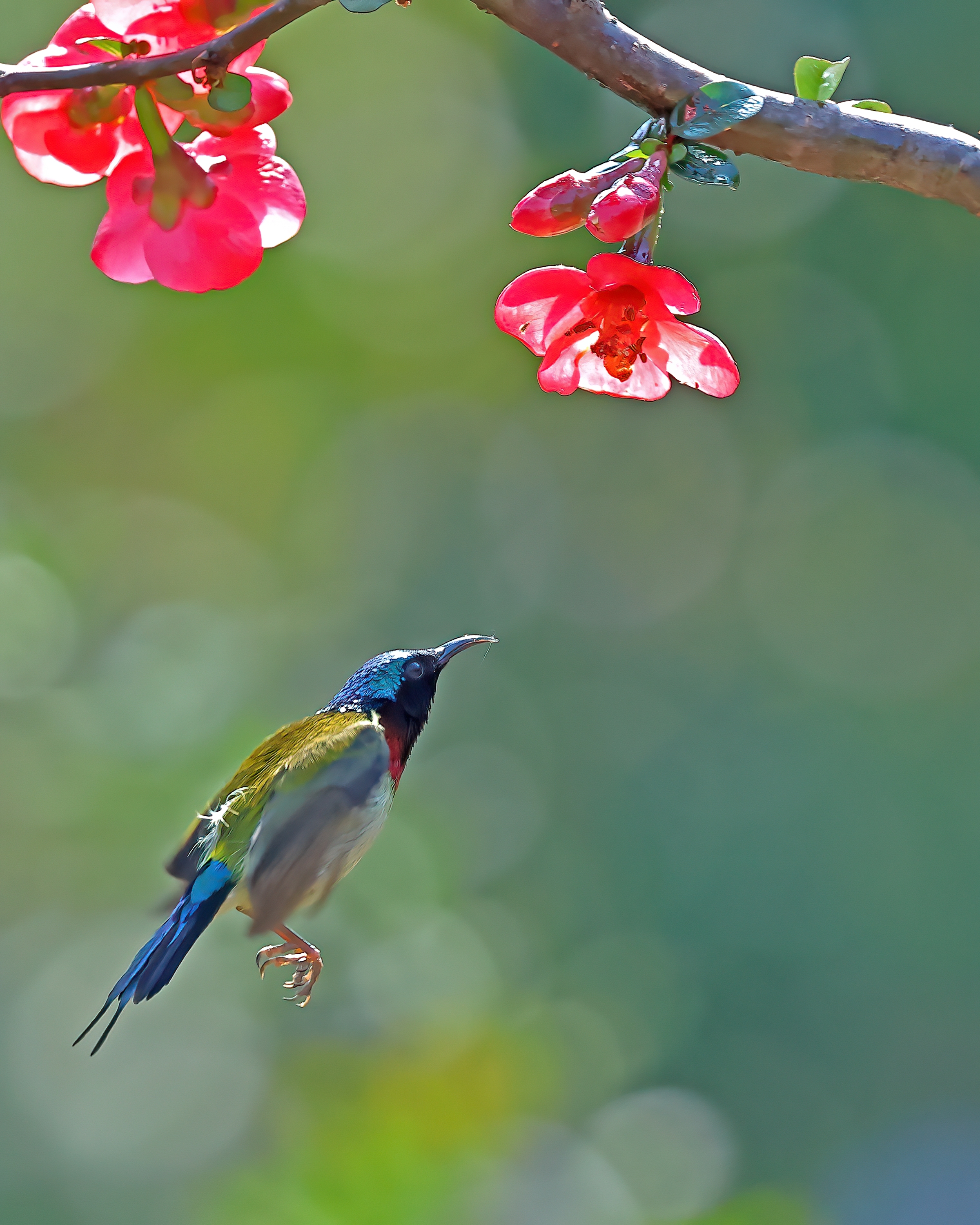 5D2A7440_-DeNoiseAI-clear.jpg