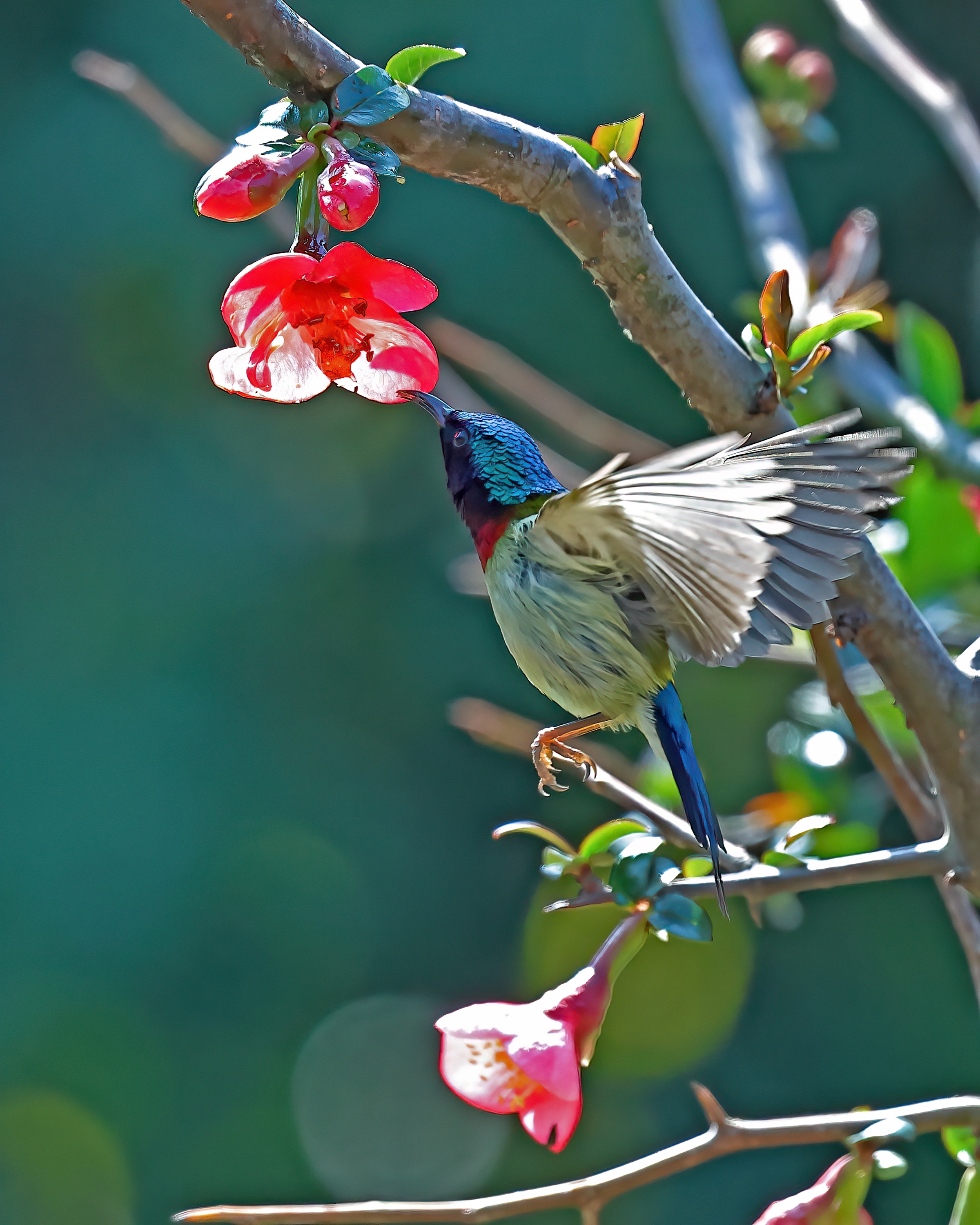 5D2A7465_-DeNoiseAI-clear.jpg