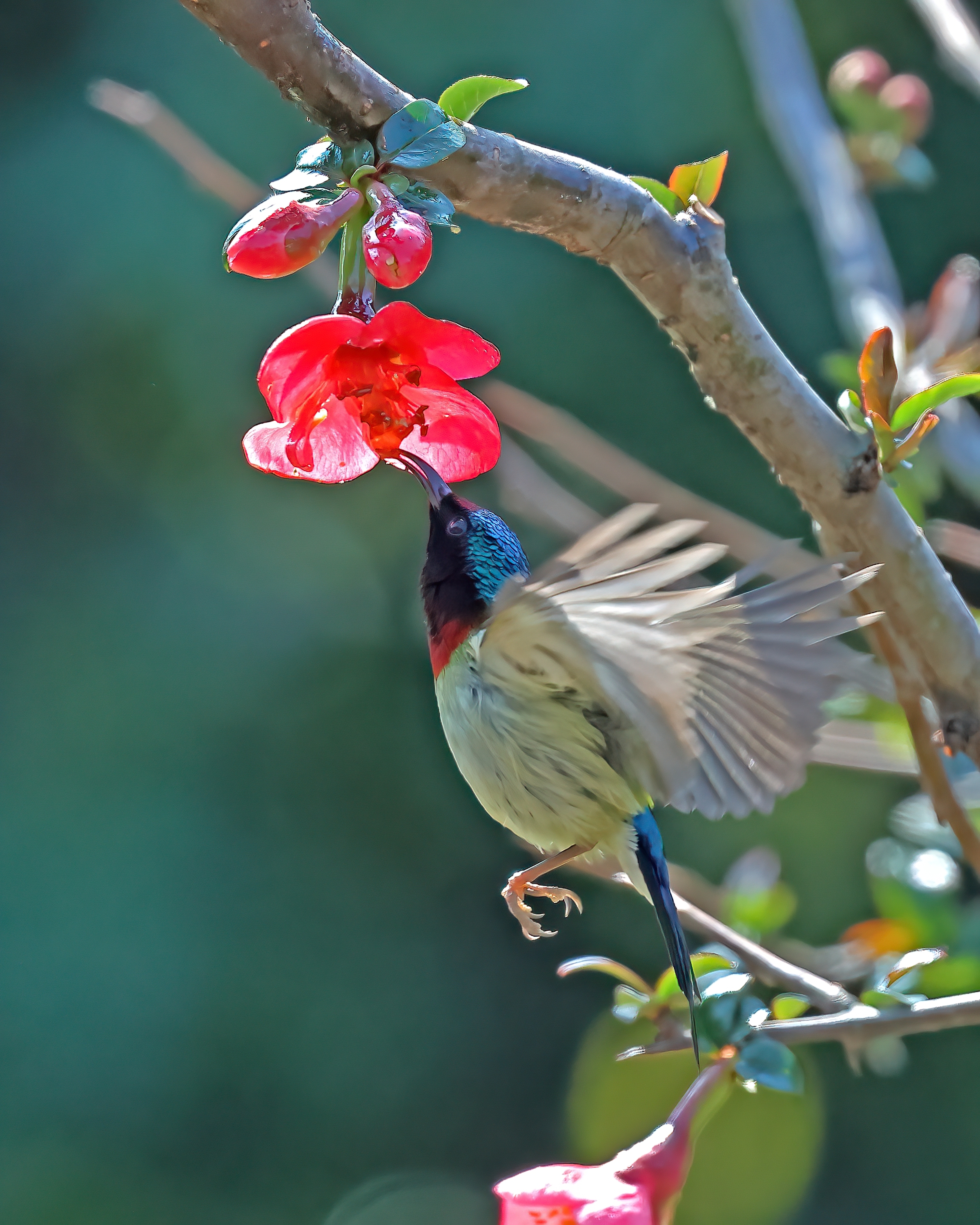 5D2A7480_-DeNoiseAI-clear.jpg