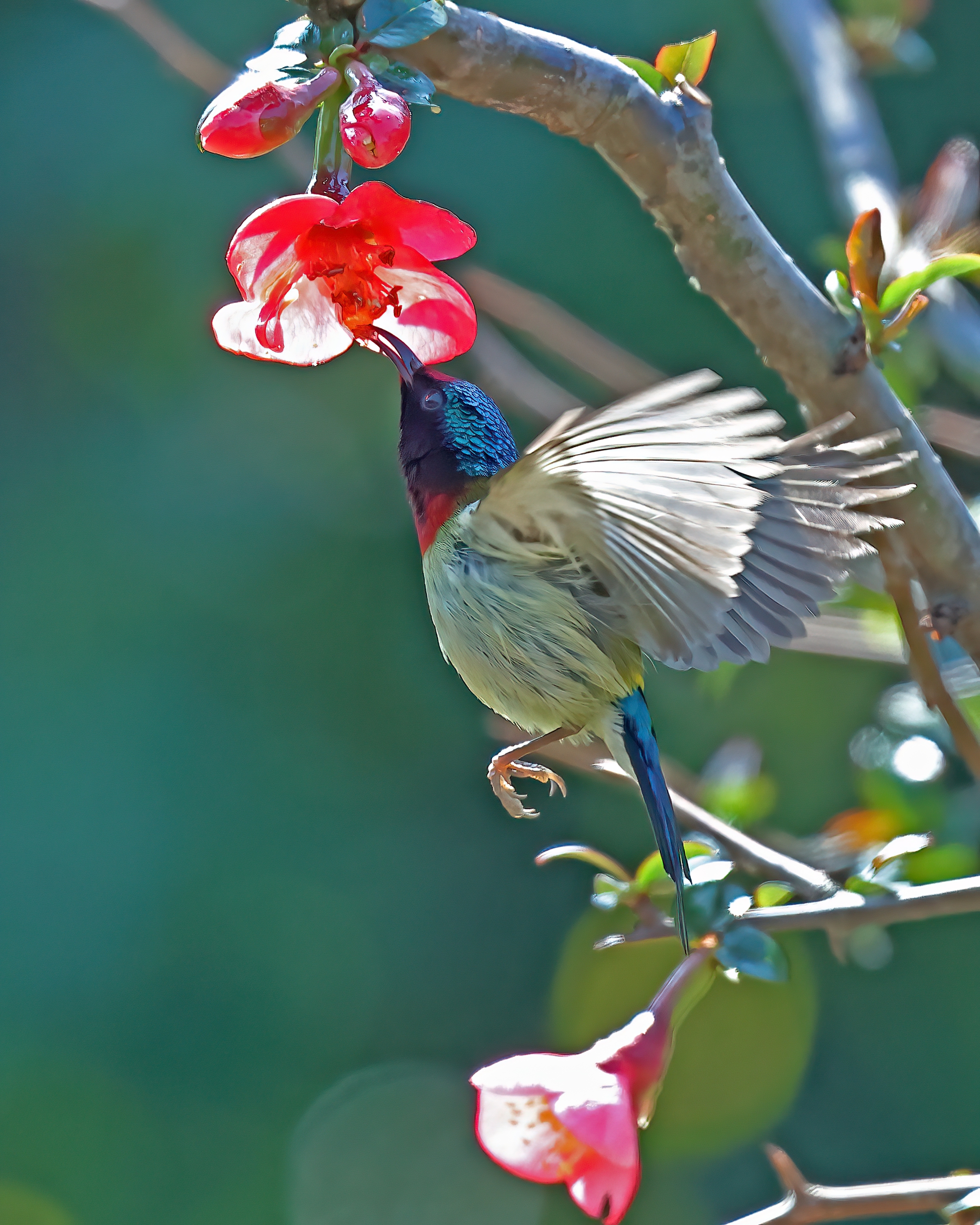 5D2A7484_-DeNoiseAI-clear.jpg