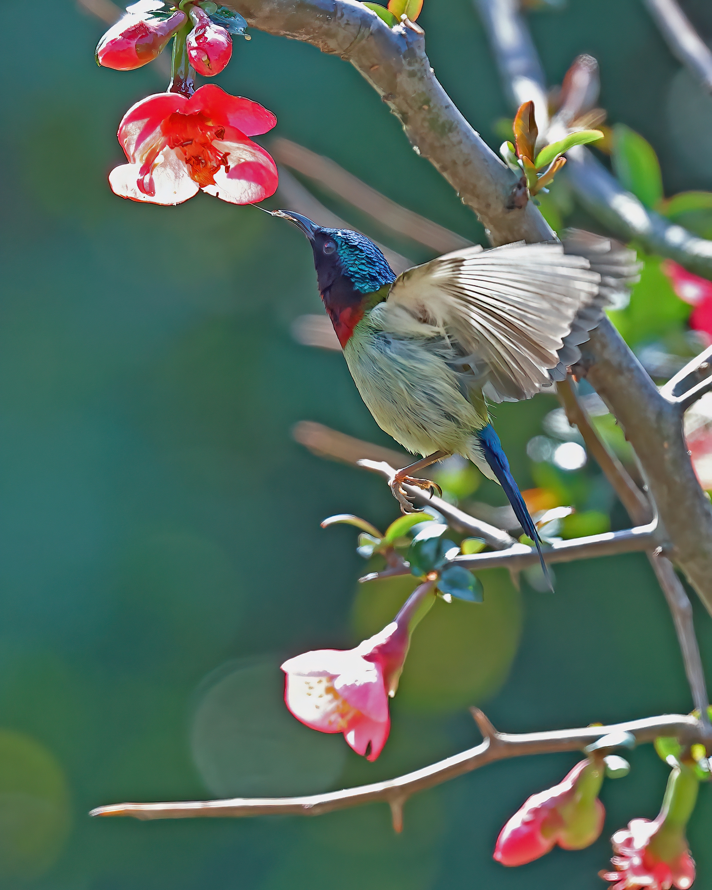 5D2A7491_-DeNoiseAI-clear.jpg