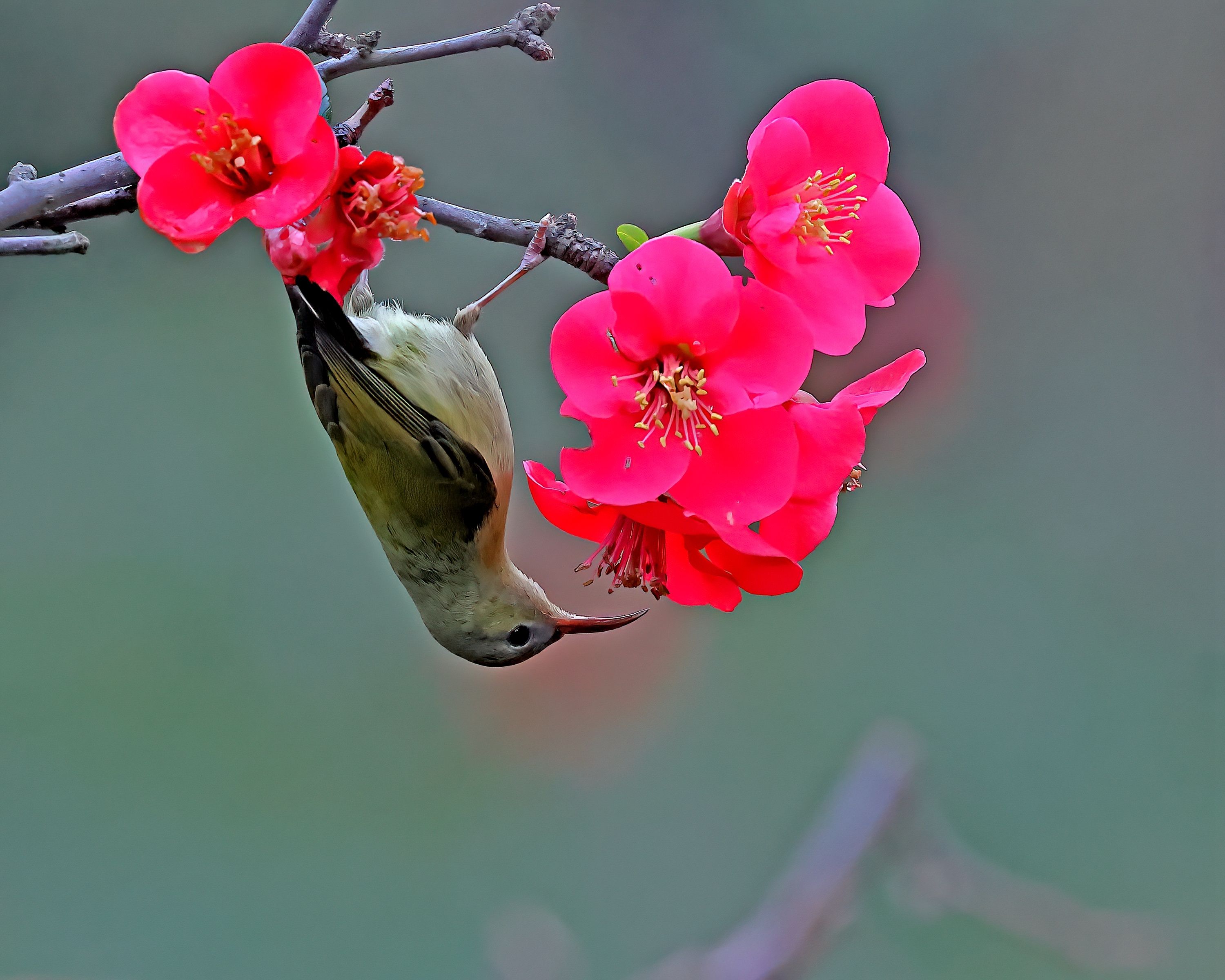 5D2A7654-DeNoiseAI-clear.jpg