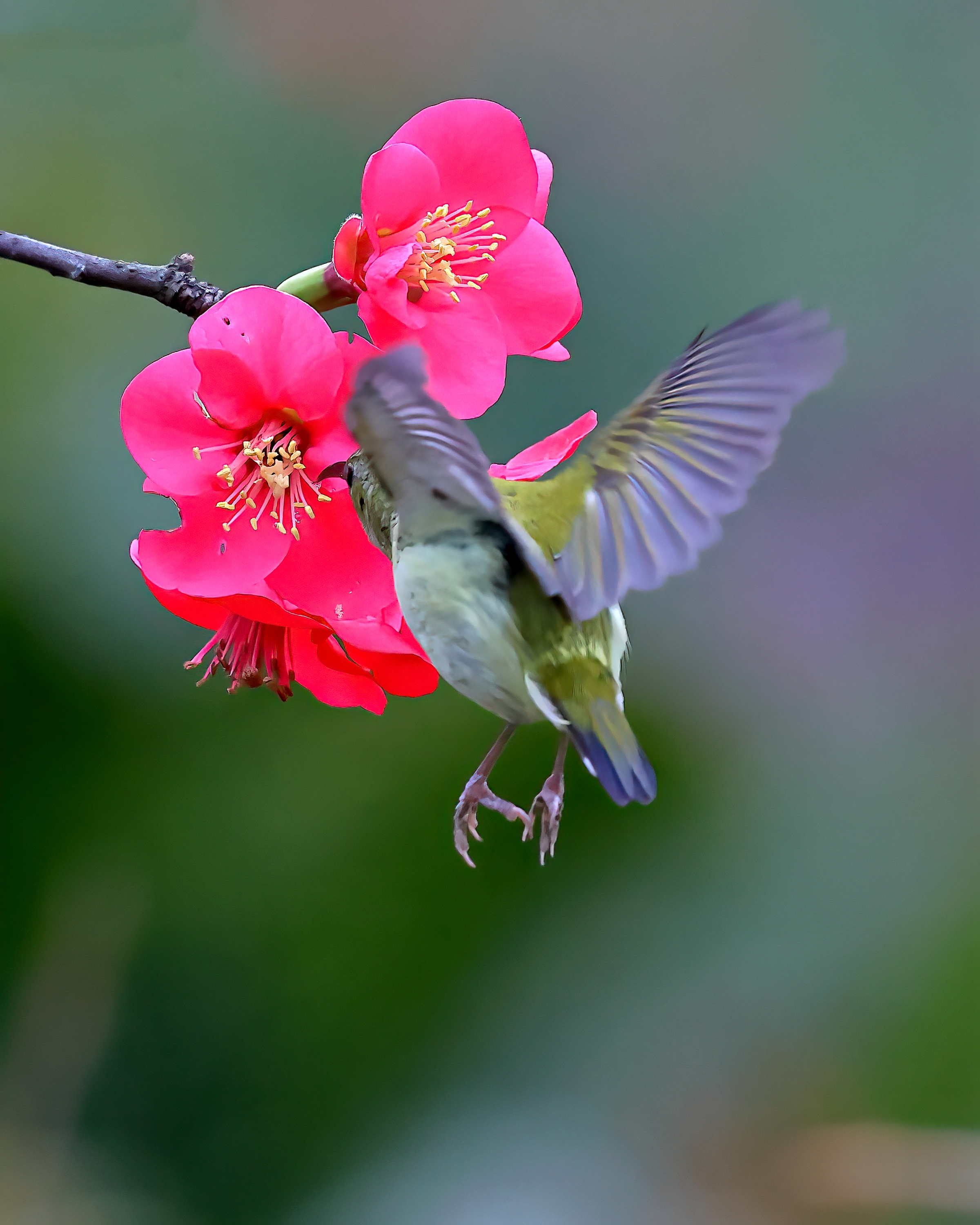 5D2A7688-DeNoiseAI-clear.jpg