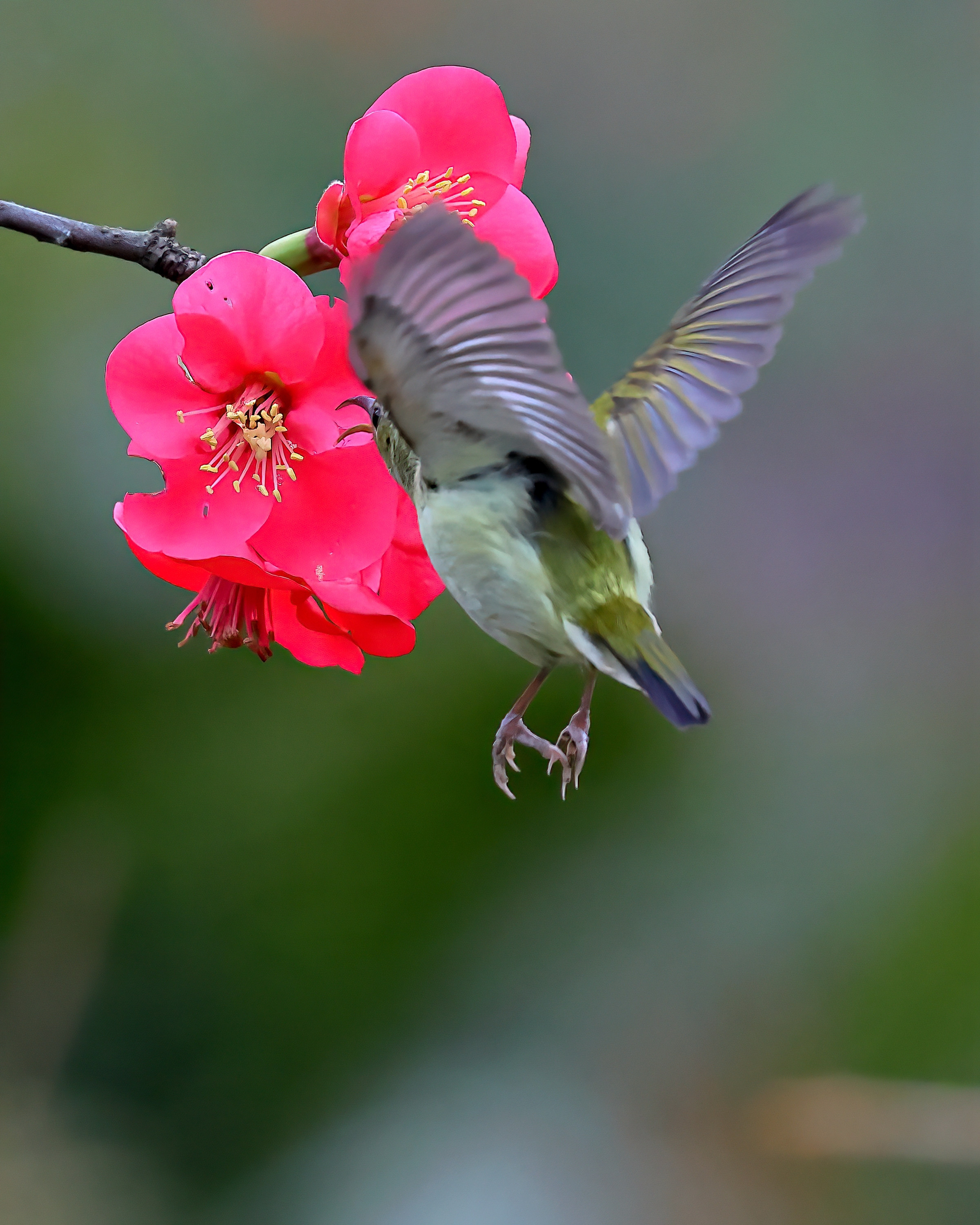 5D2A7692-DeNoiseAI-clear.jpg
