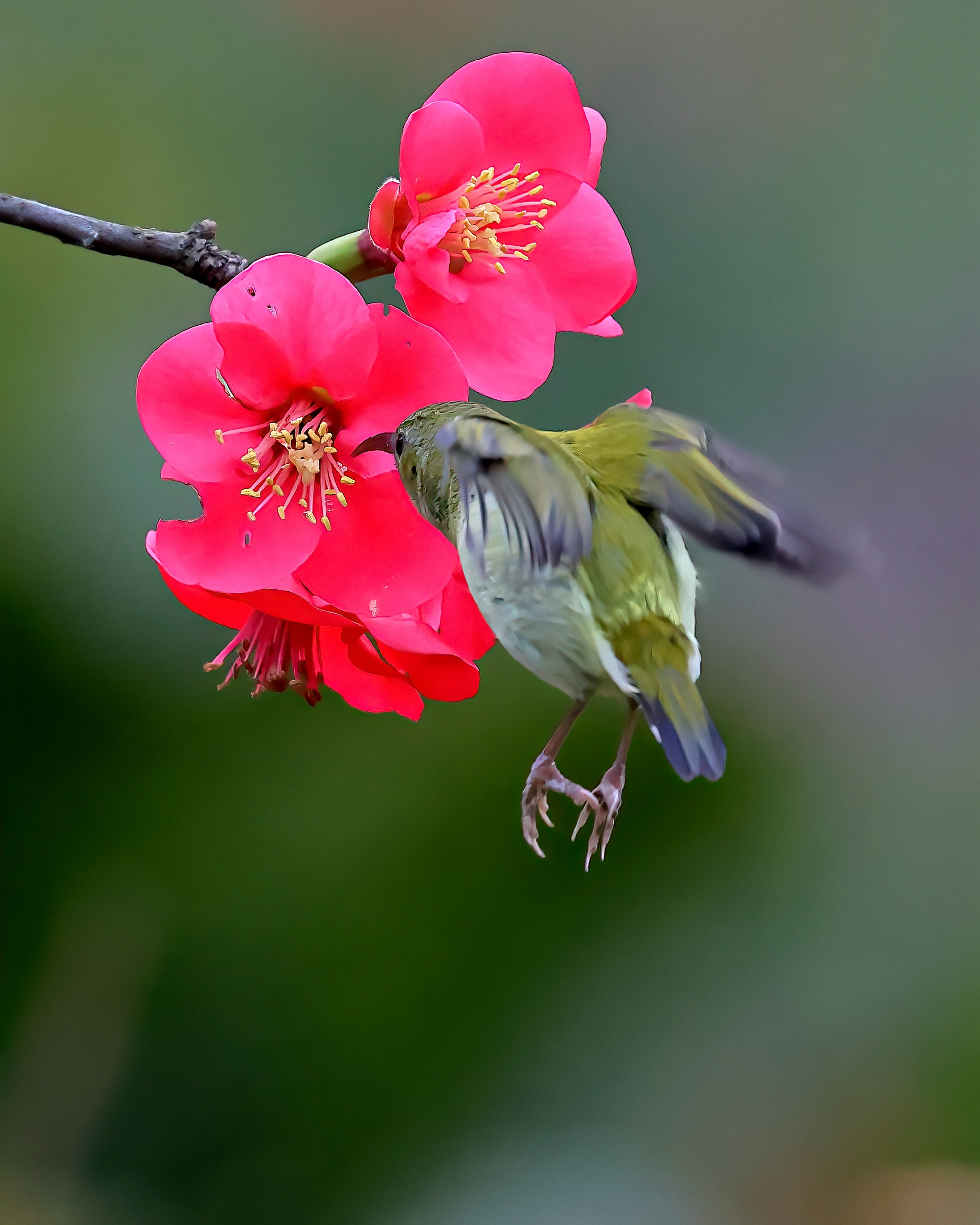 5D2A7693-DeNoiseAI-clear.jpg