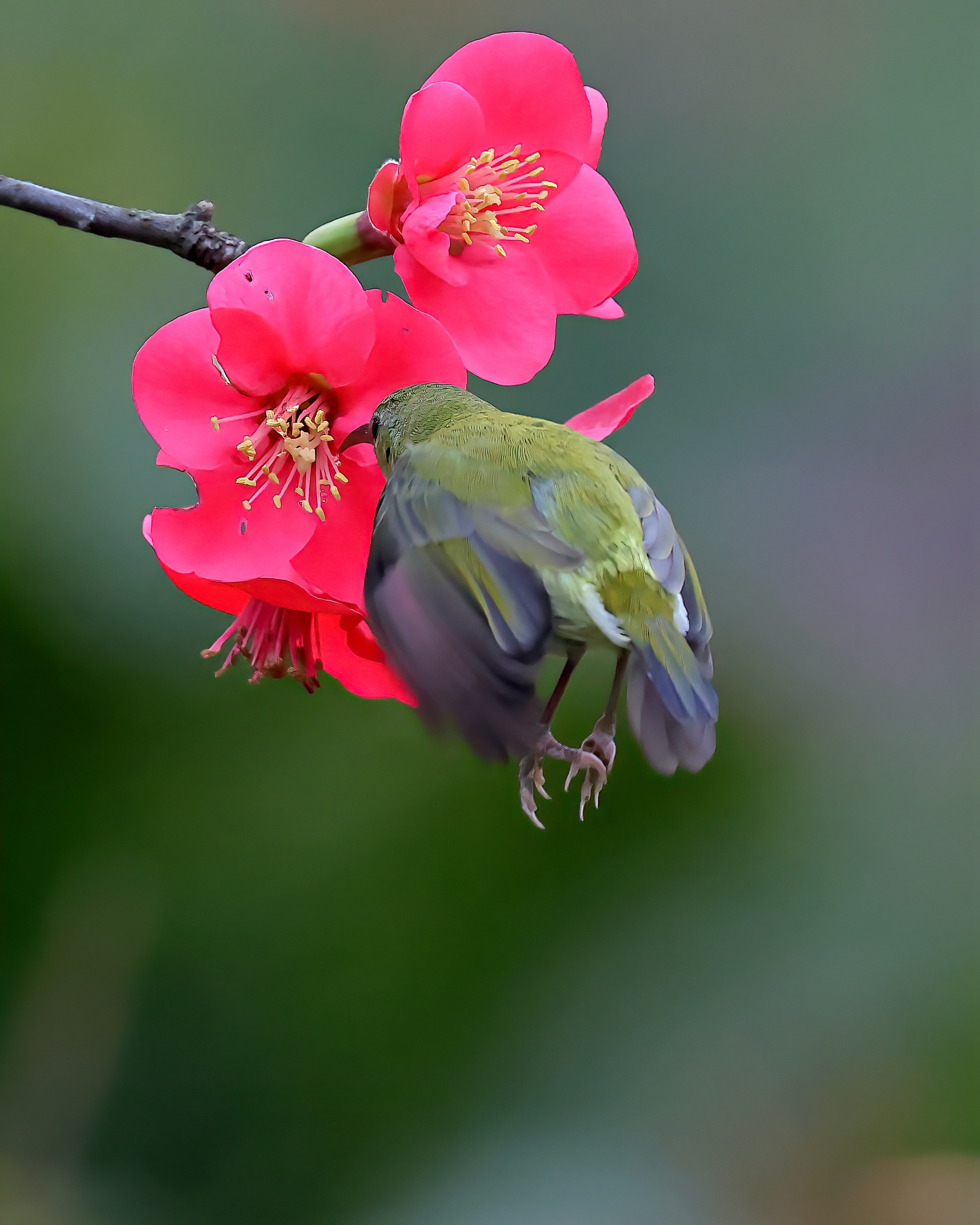 5D2A7694-DeNoiseAI-clear.jpg