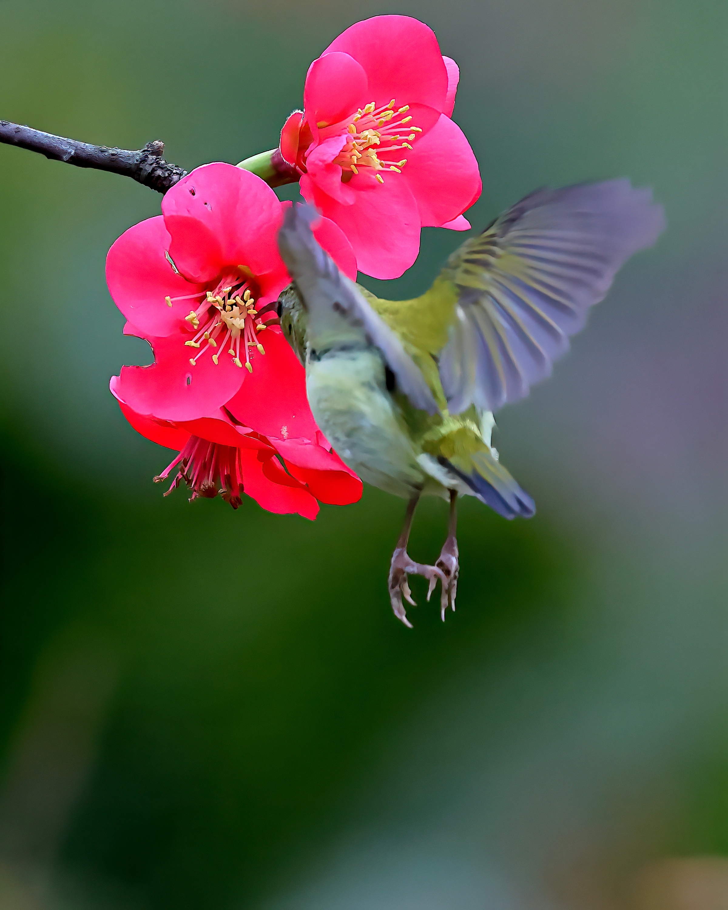 5D2A7697-DeNoiseAI-clear.jpg